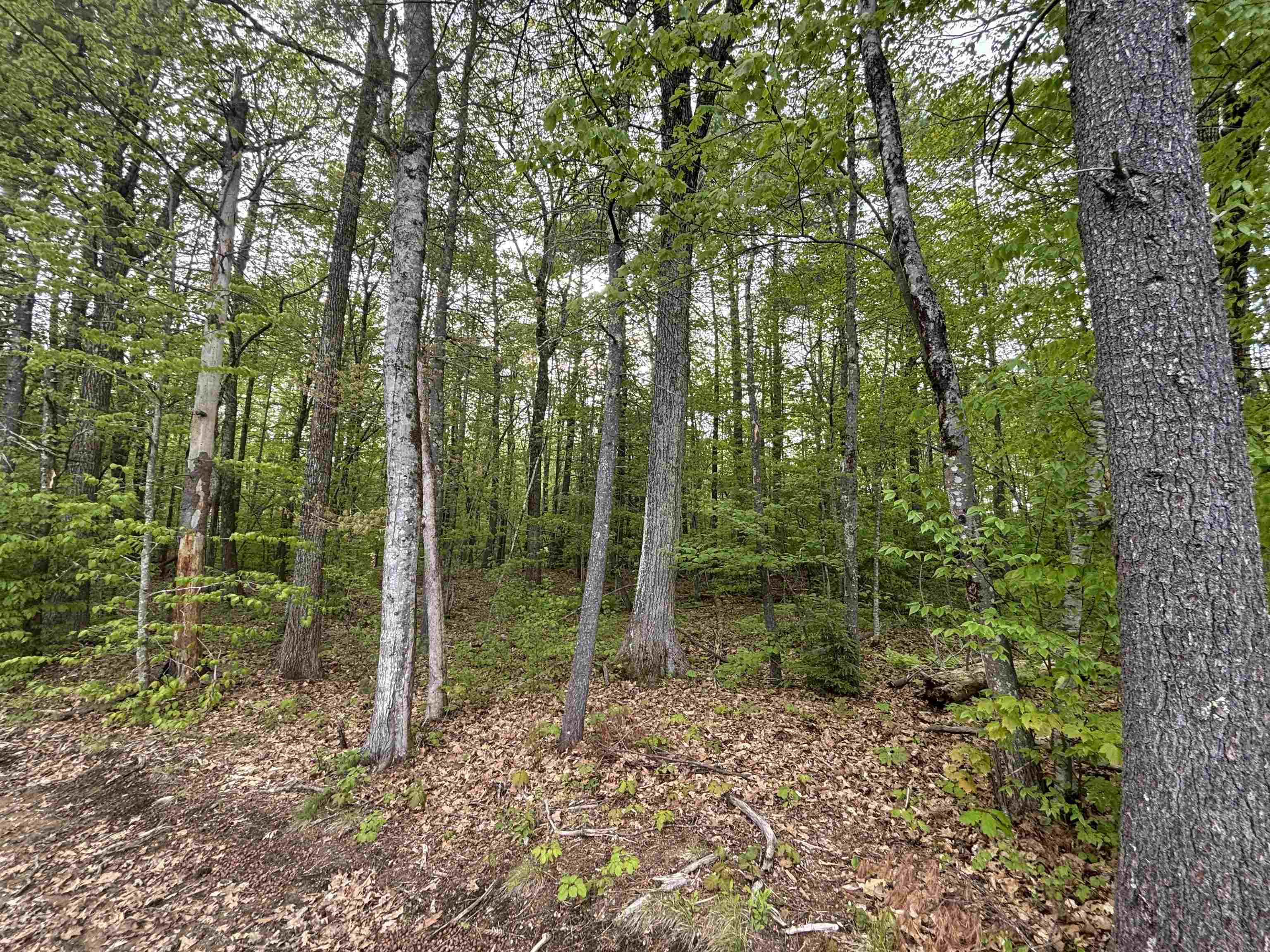 Wildcat Road Property Photo 1
