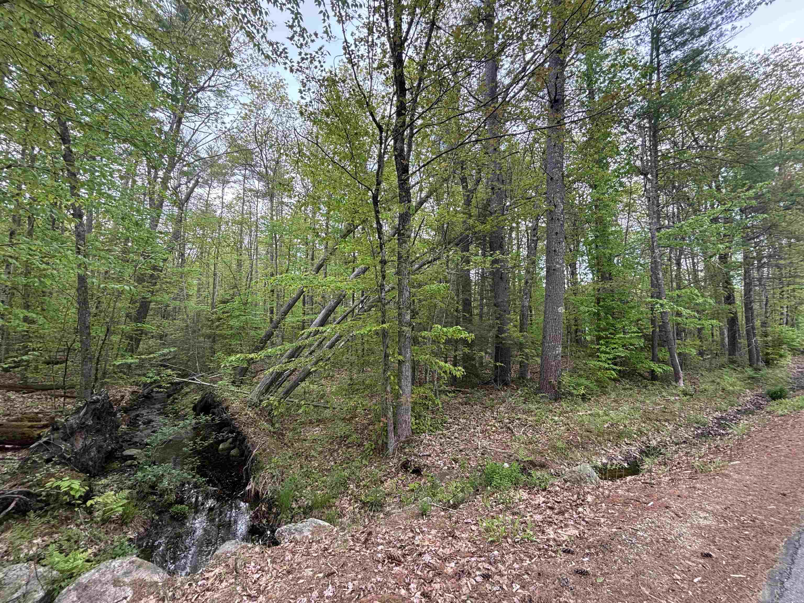 Wildcat Road Property Photo 2