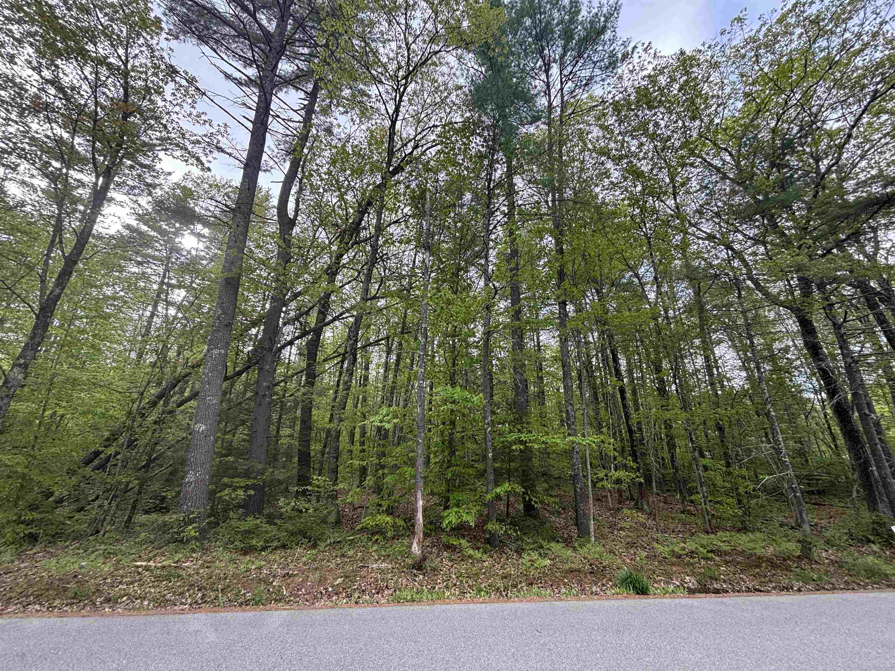 Wildcat Road Property Photo 3