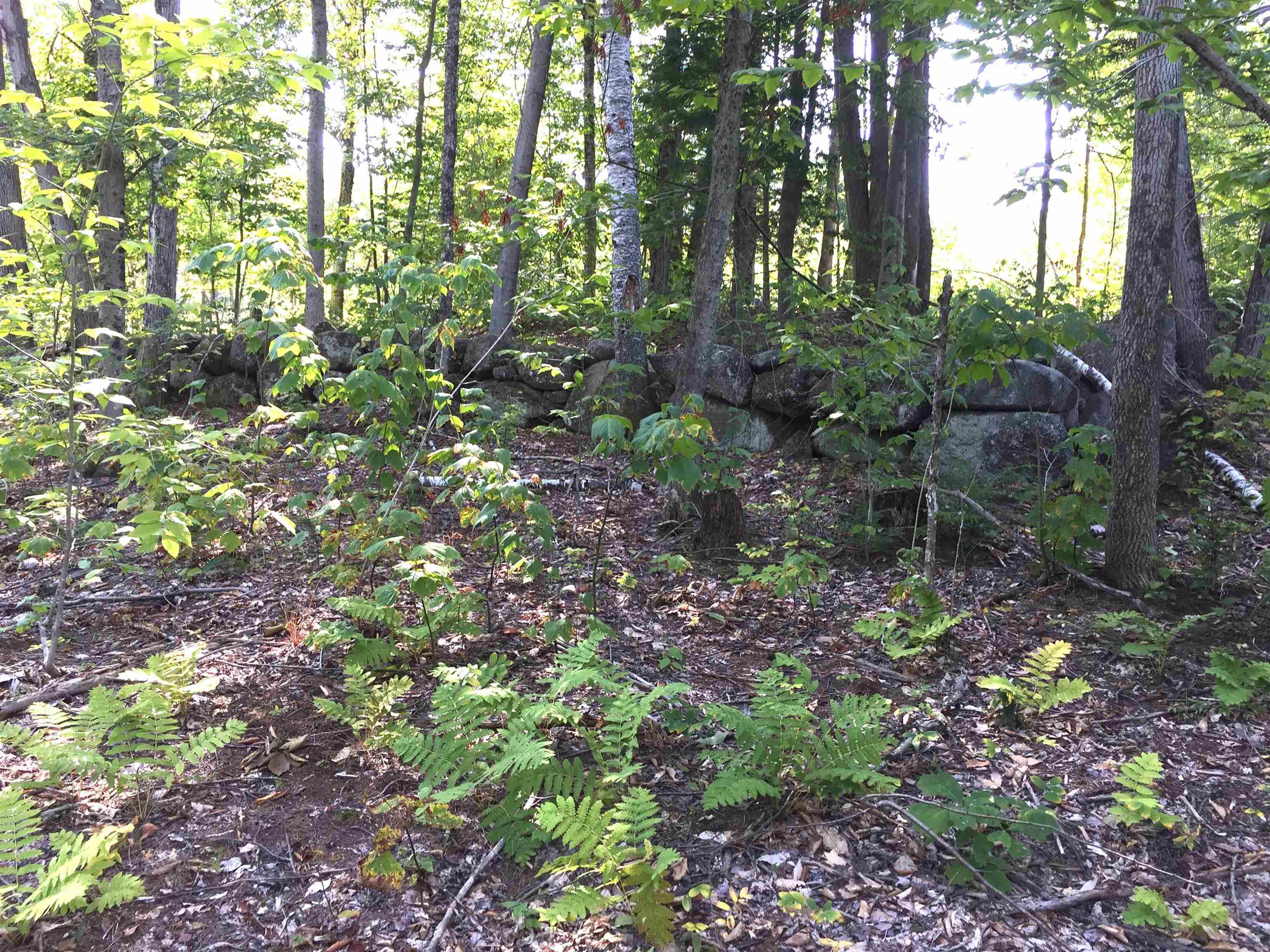 76 Edgerly School Road Property Photo 13