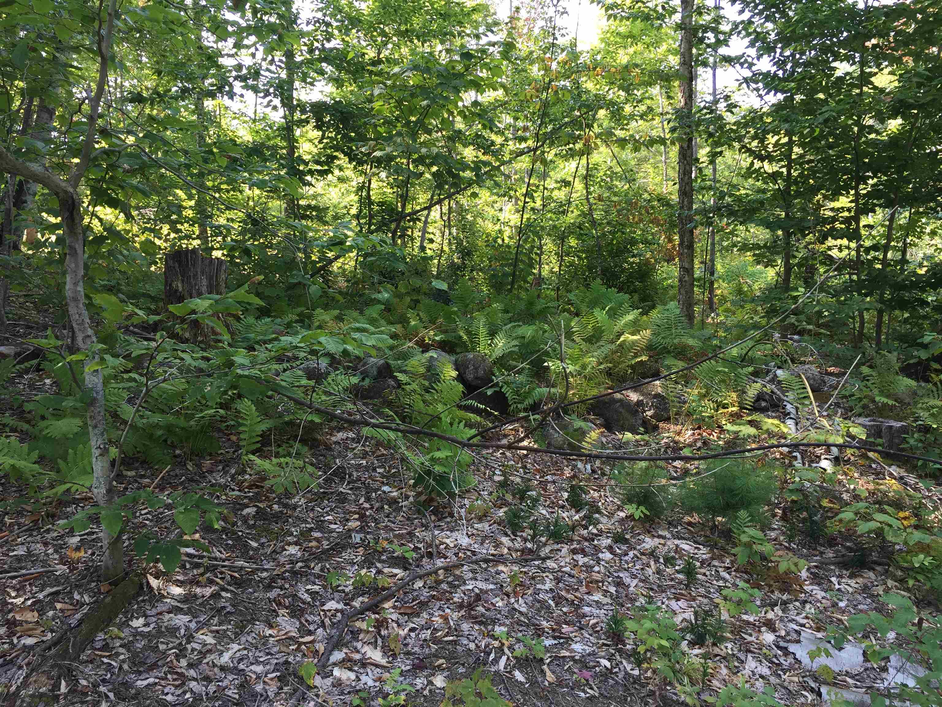 76 Edgerly School Road Property Photo 14
