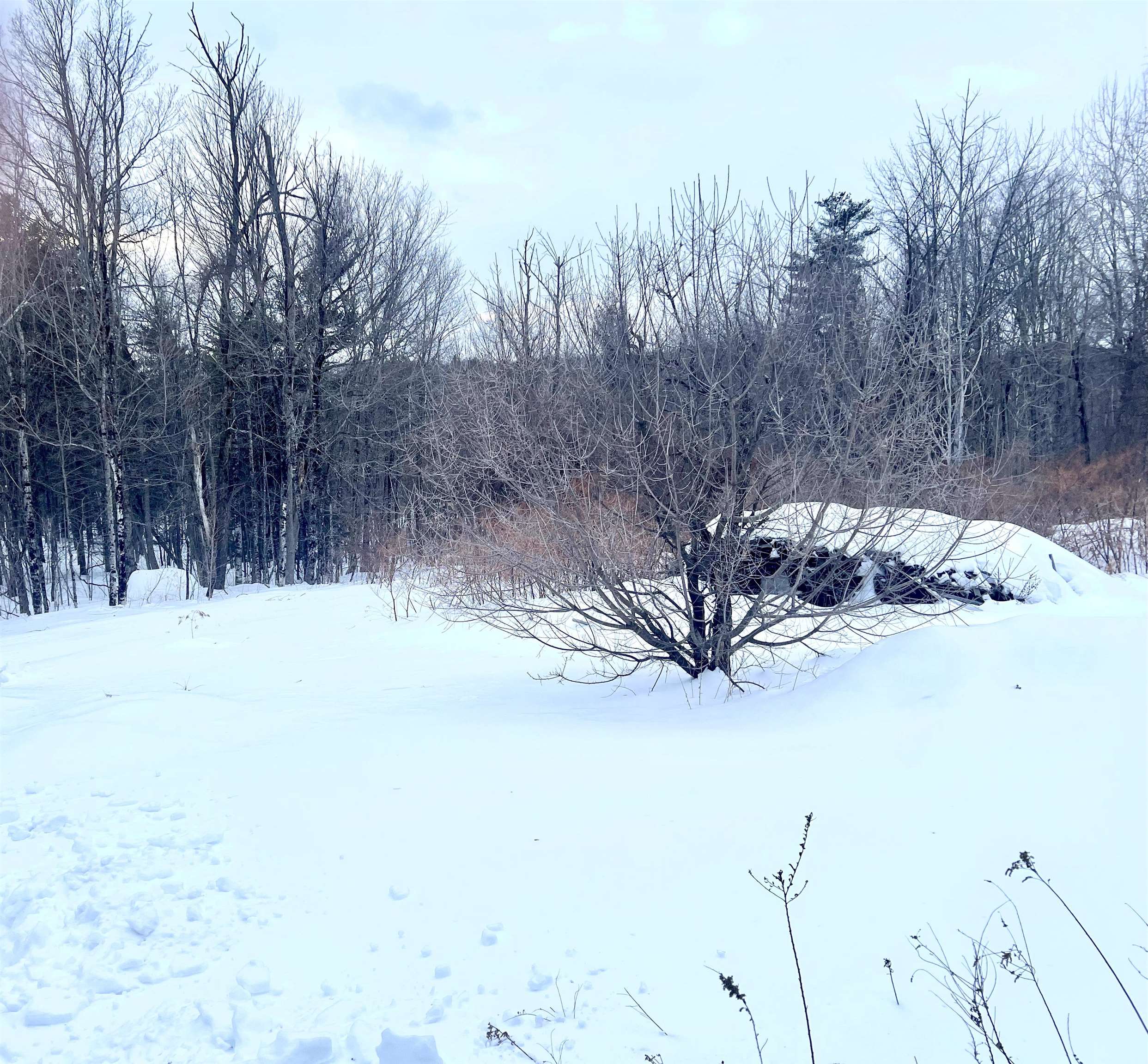 76 Edgerly School Road Property Photo 21