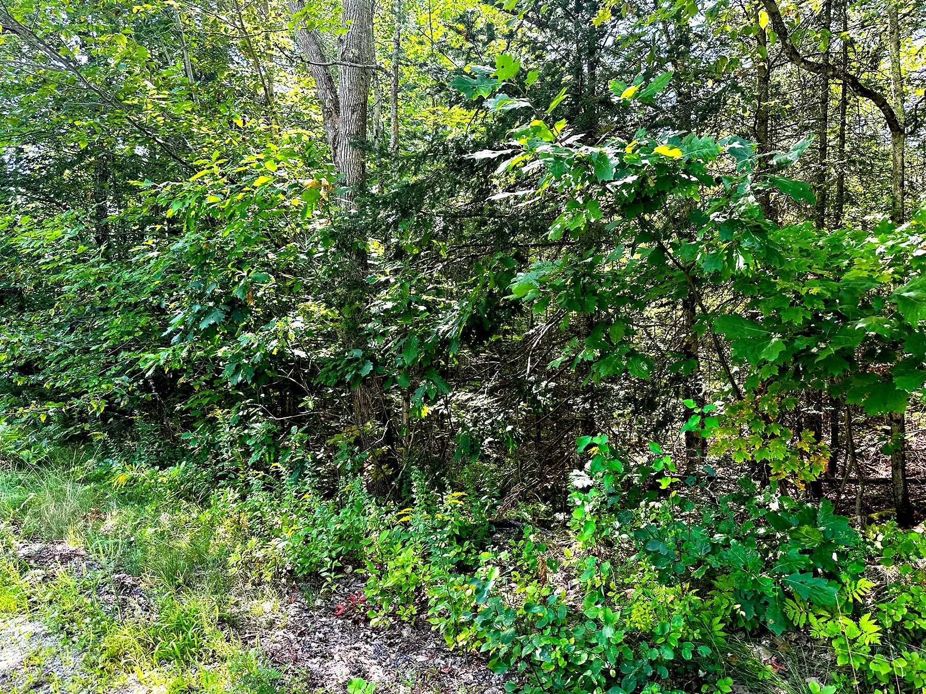 Tm 48 L 125/56 Phelps Road Property Photo 16