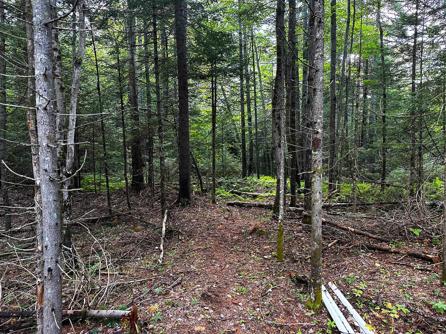 Tm 48 L 125/56 Phelps Road Property Photo 17