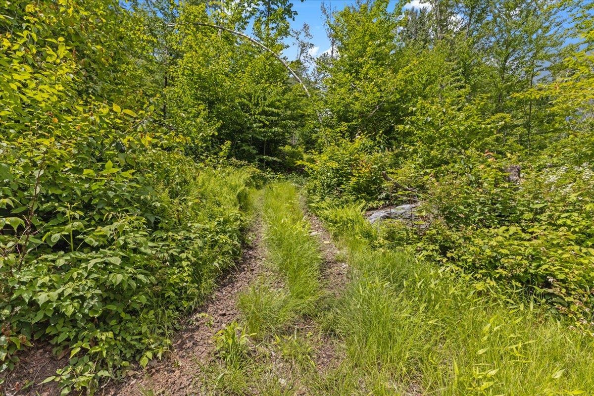 Lot 1 Marshall Road Property Photo 1