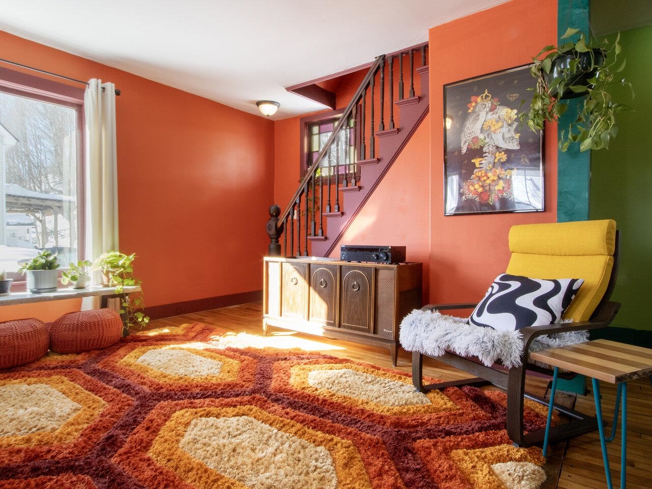 11 Murray Street Property Photo