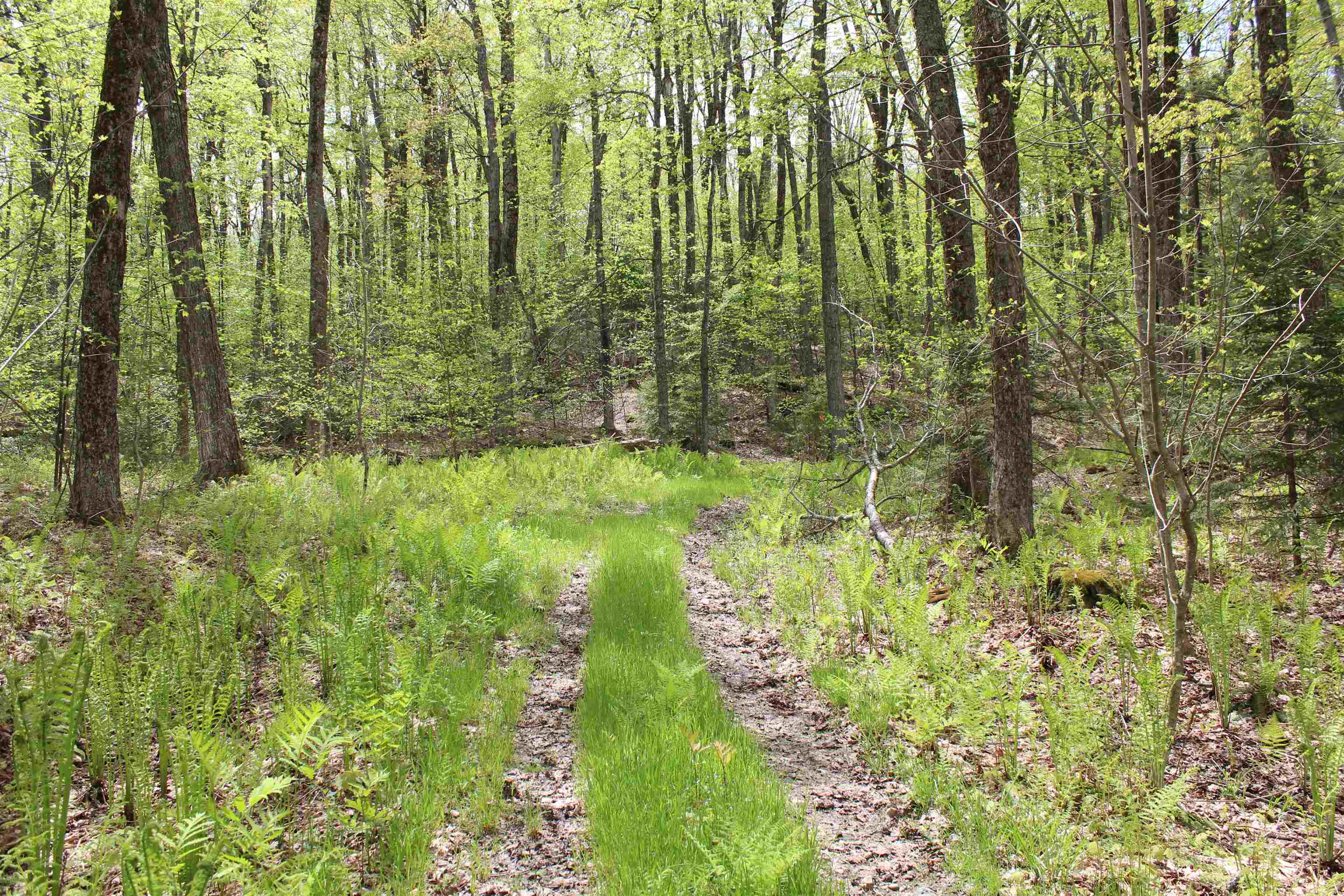 00 Long Hill Road Property Photo 3