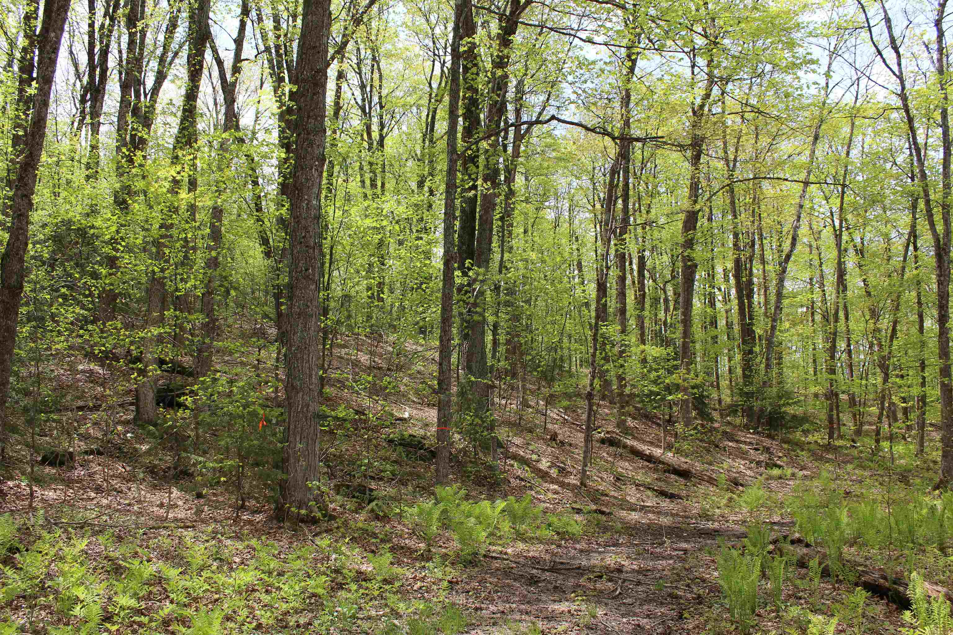 00 Long Hill Road Property Photo 4
