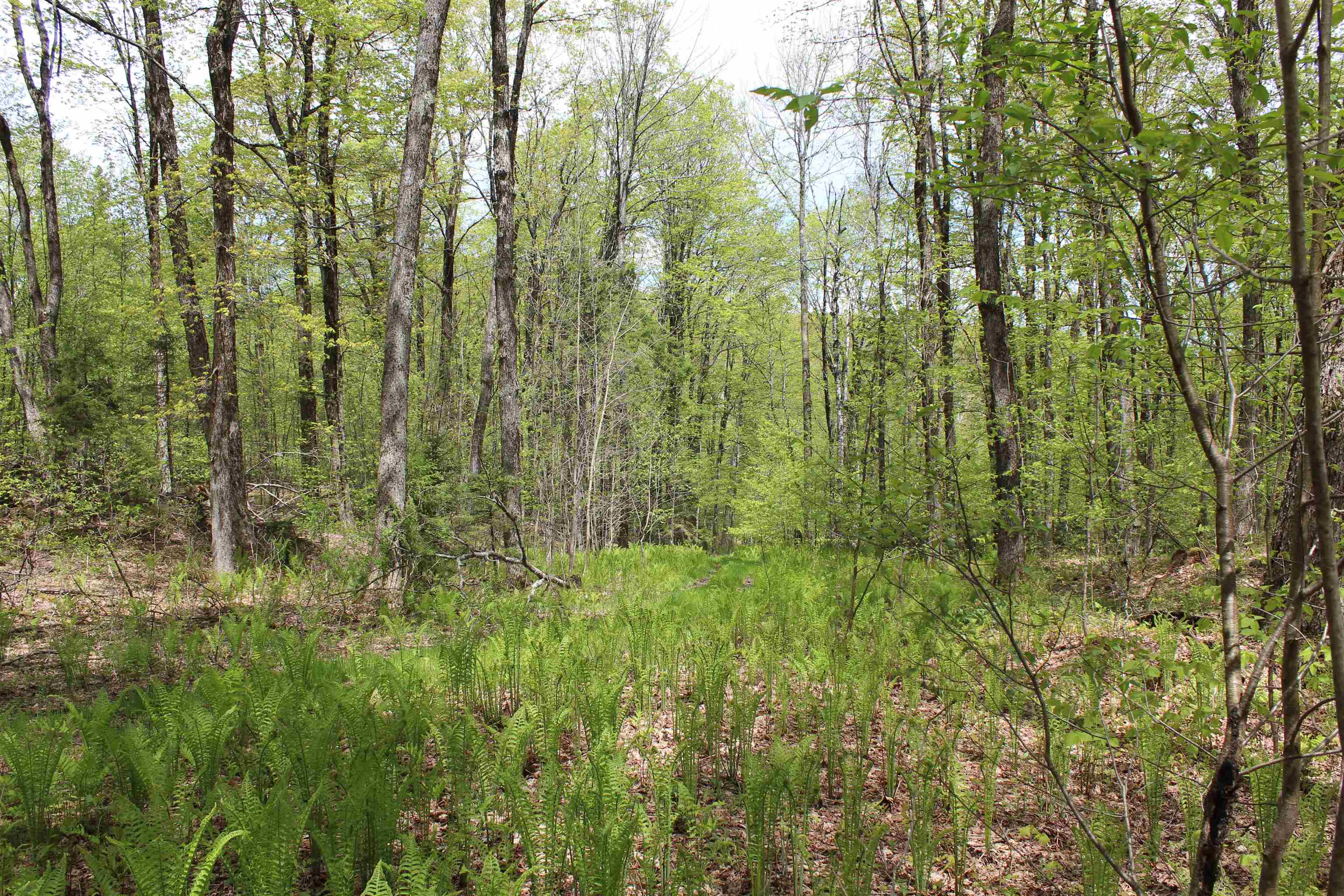 00 Long Hill Road Property Photo 7