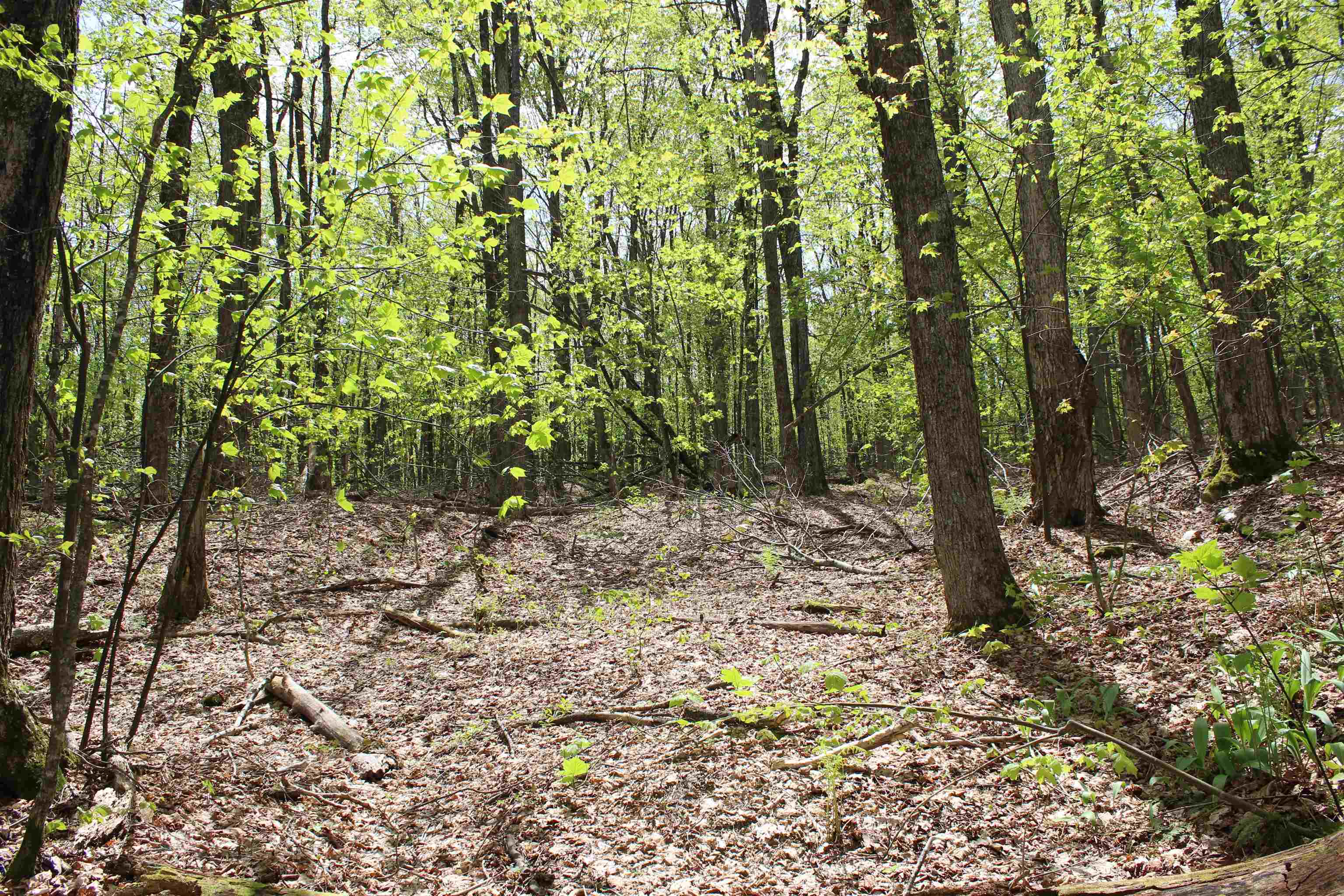 00 Long Hill Road Property Photo 10