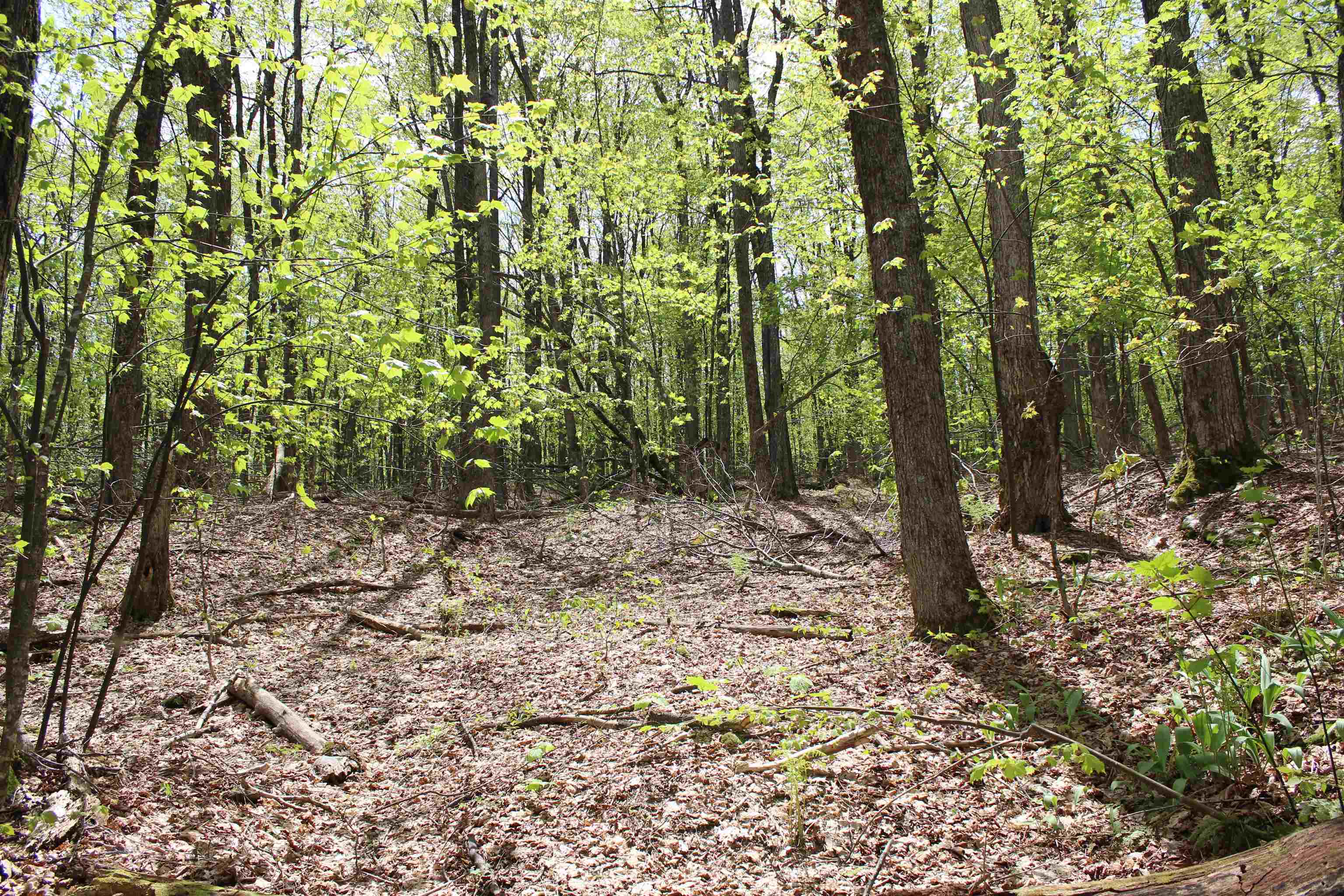 00 Long Hill Road Property Photo 11