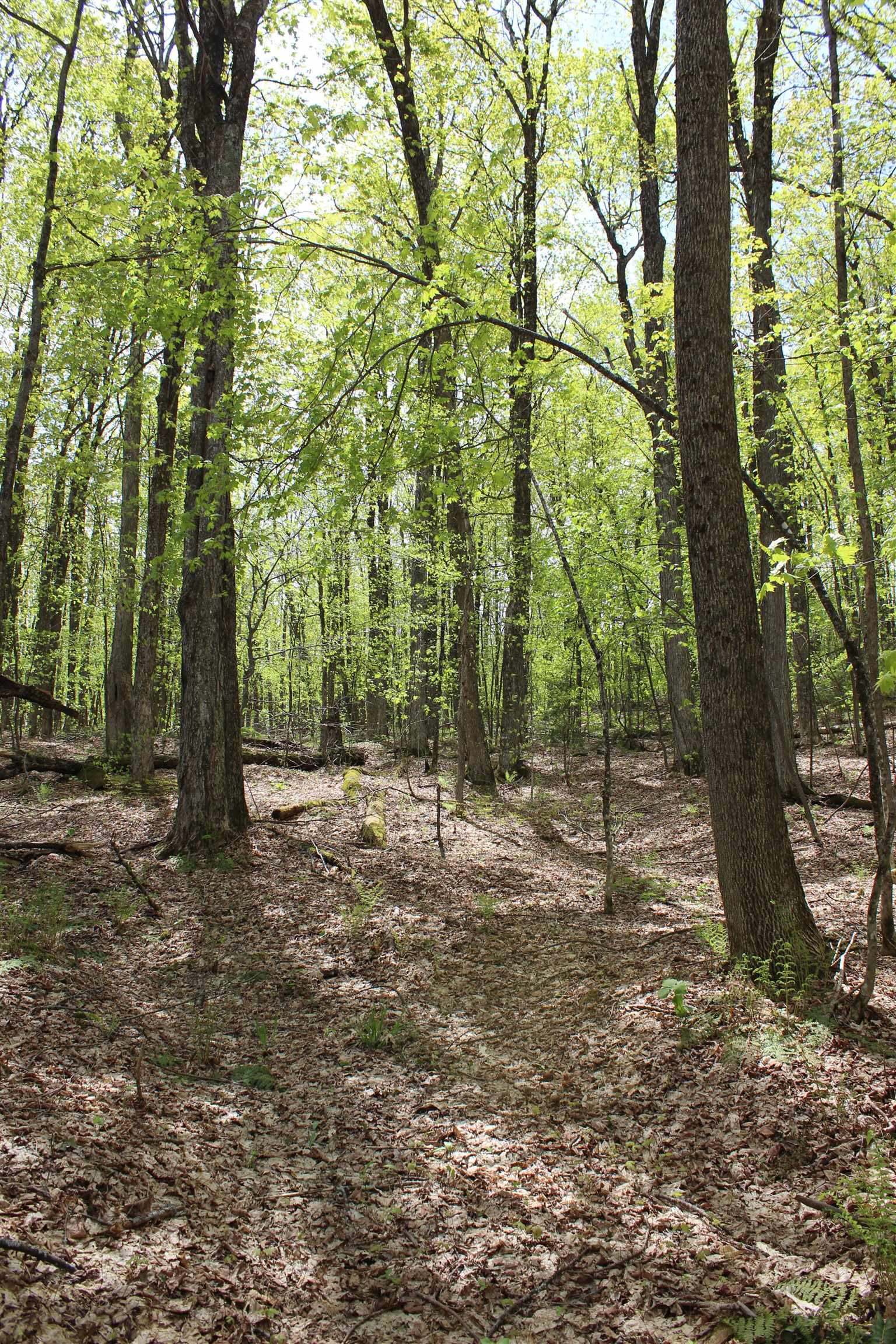 00 Long Hill Road Property Photo 13