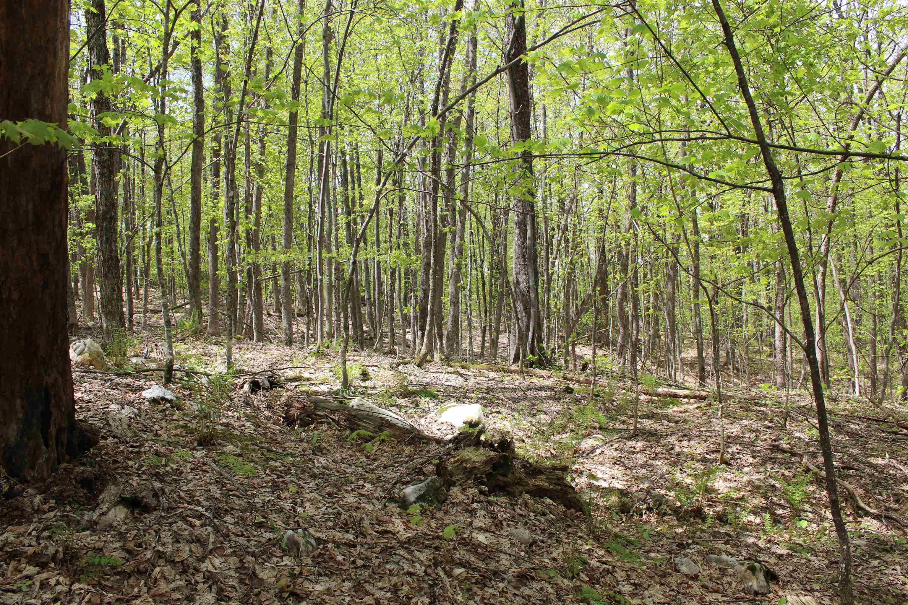00 Long Hill Road Property Photo 16