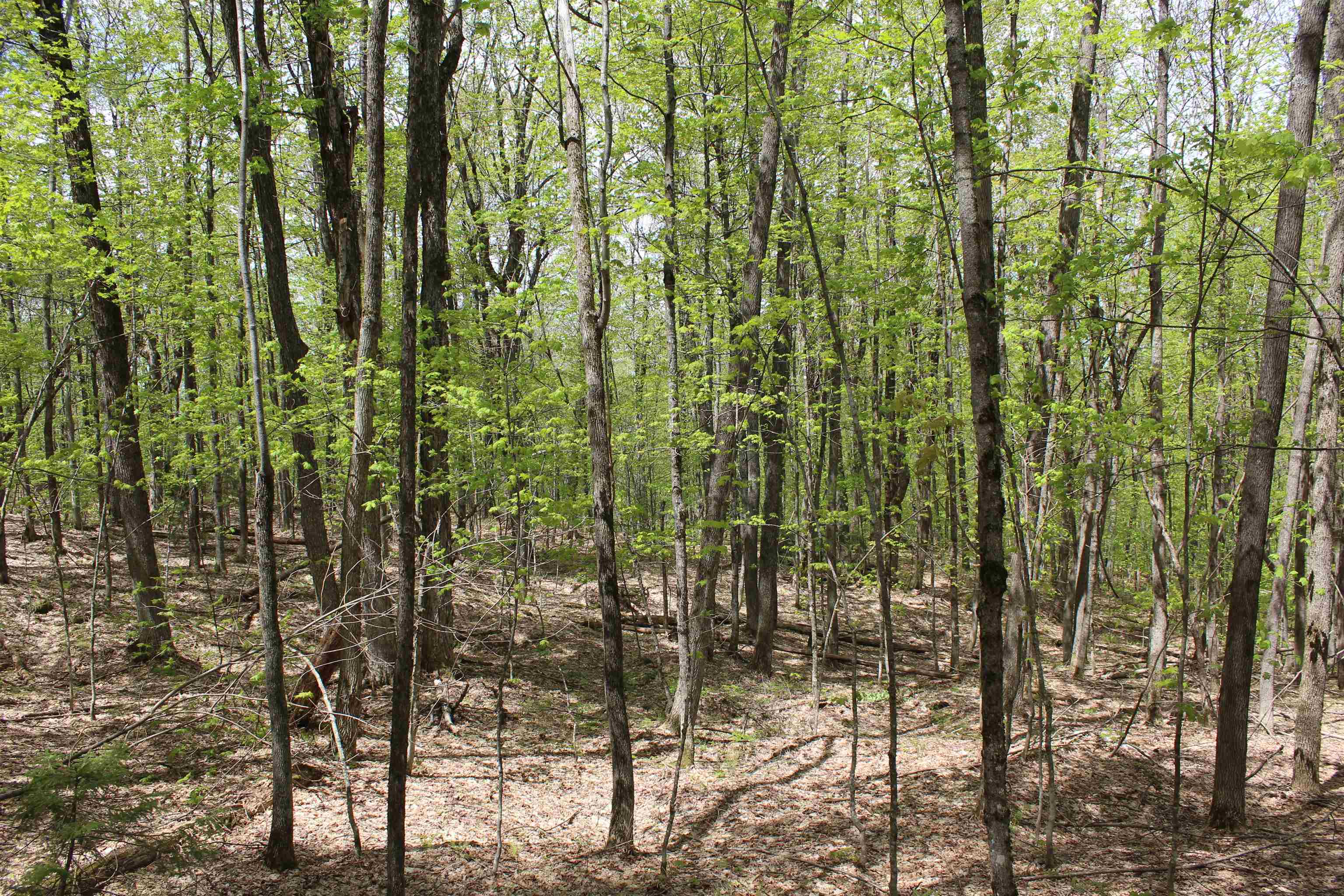 00 Long Hill Road Property Photo 19