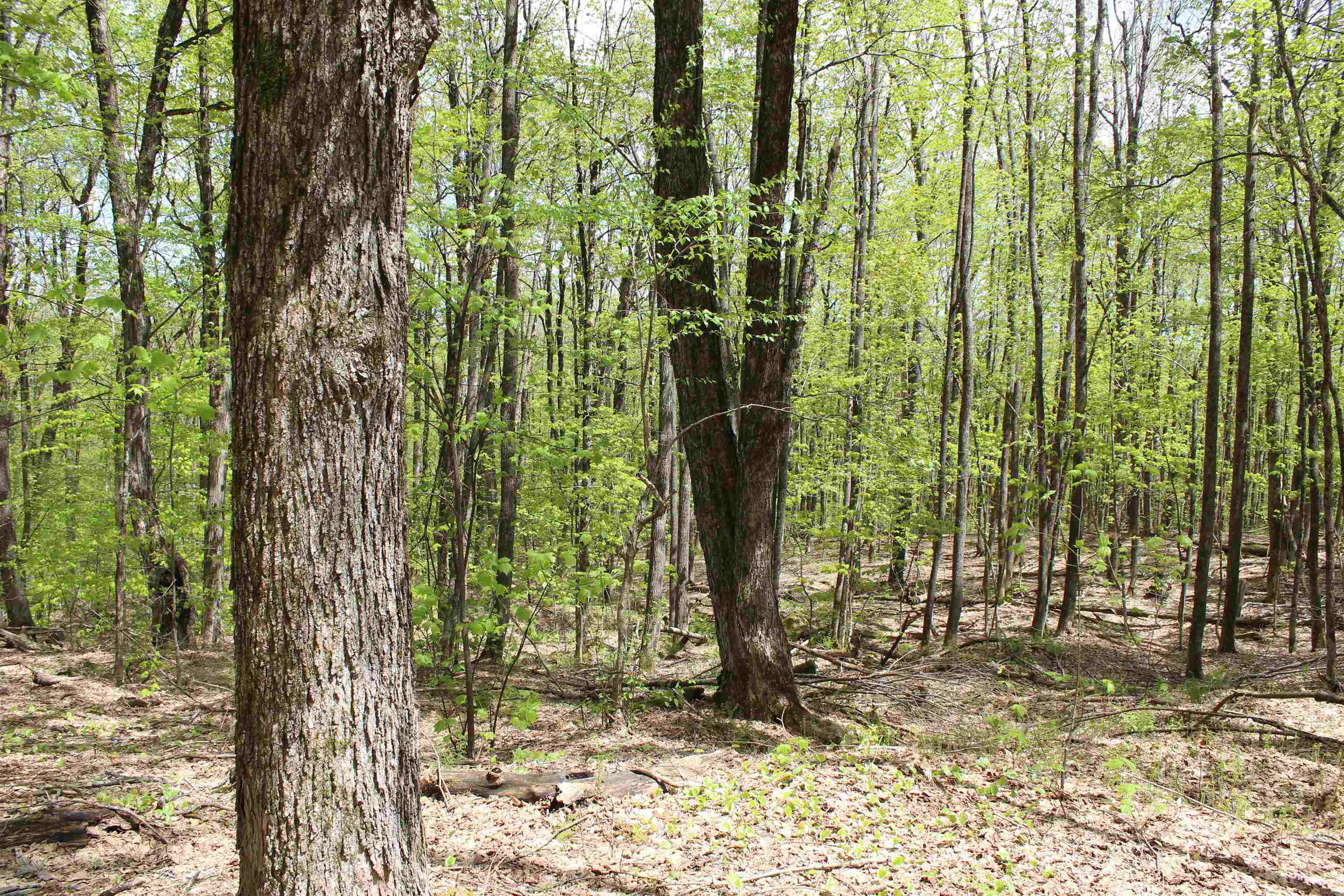 00 Long Hill Road Property Photo 21