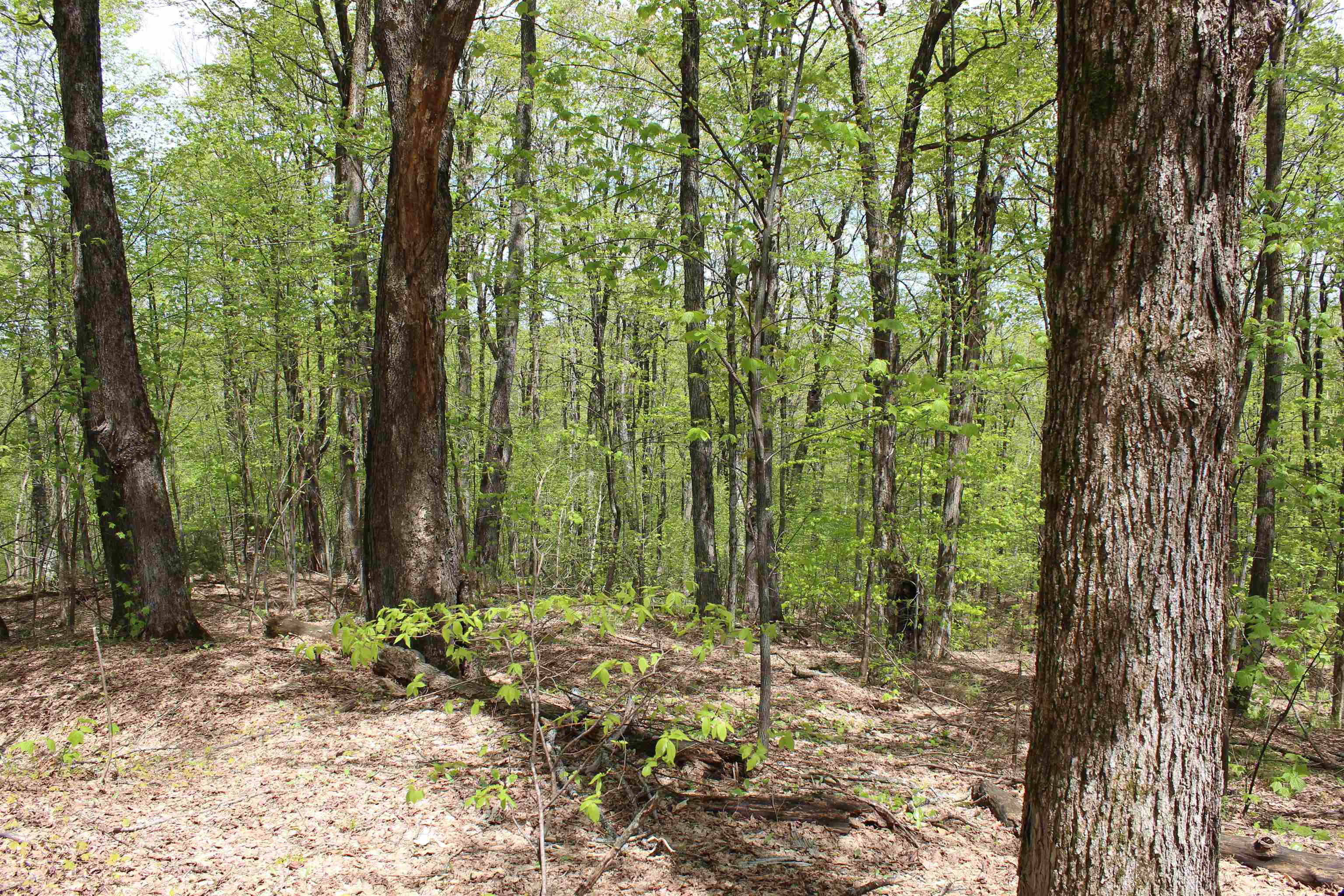 00 Long Hill Road Property Photo 22