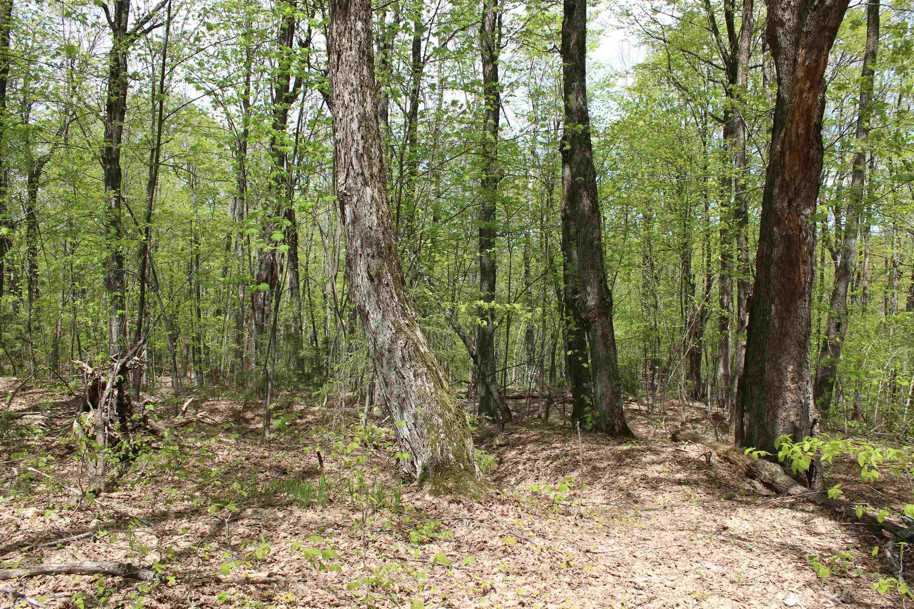 00 Long Hill Road Property Photo 23