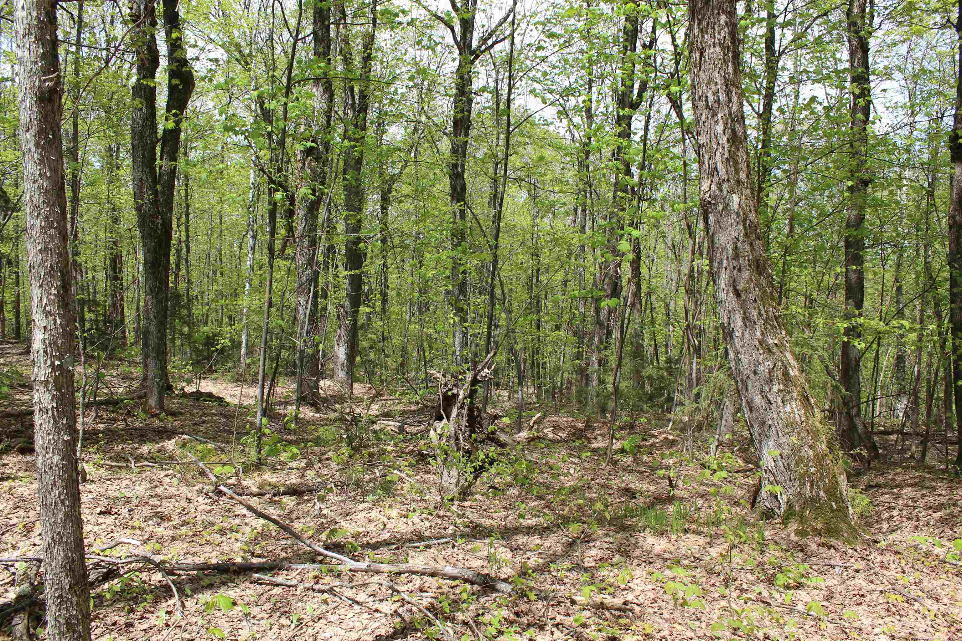 00 Long Hill Road Property Photo 24