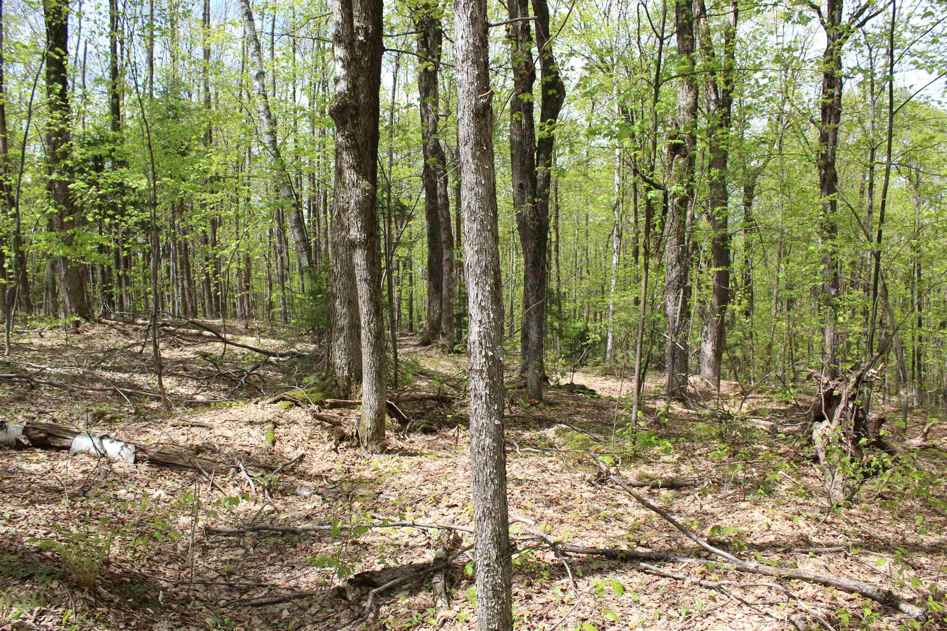 00 Long Hill Road Property Photo 25