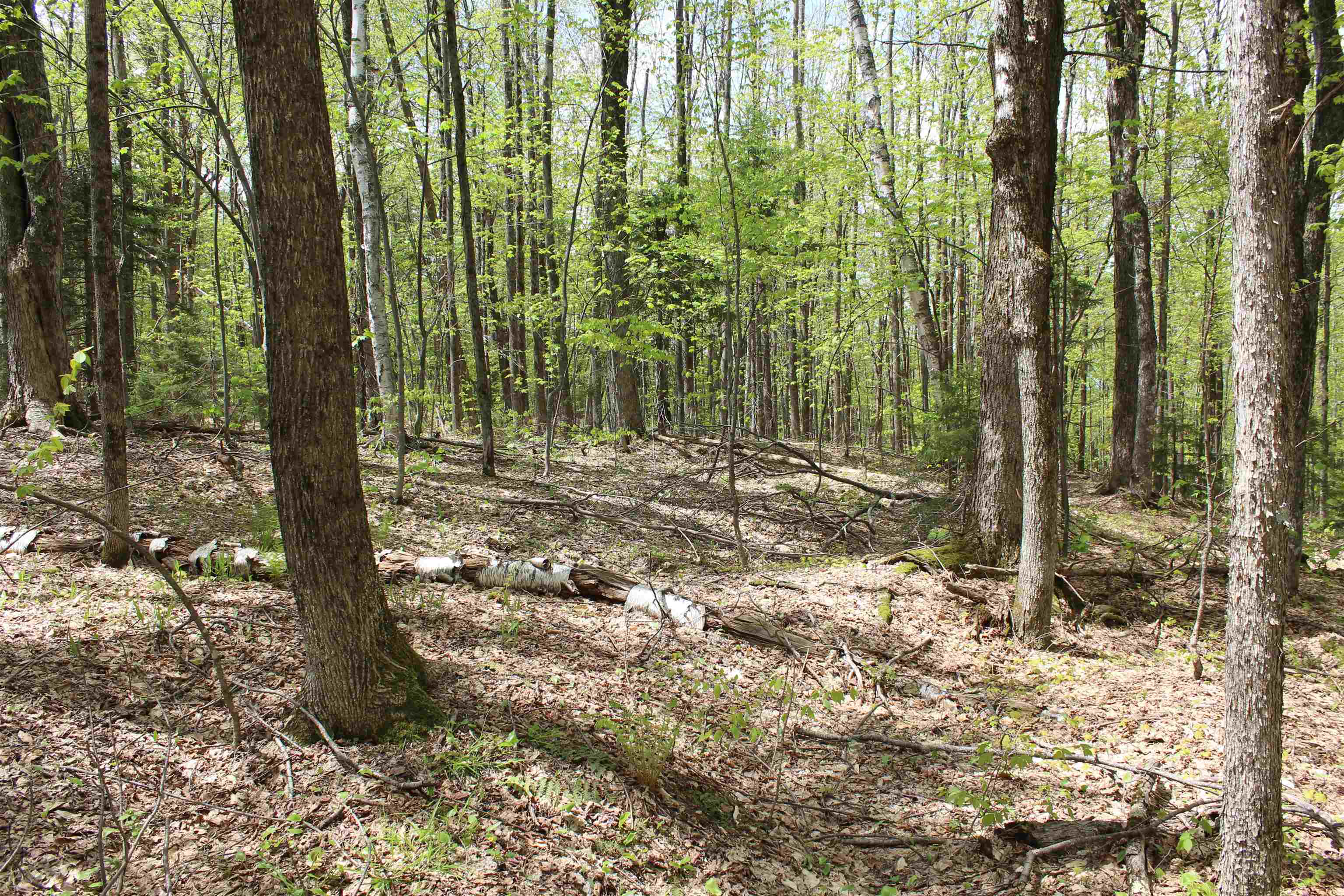 00 Long Hill Road Property Photo 26