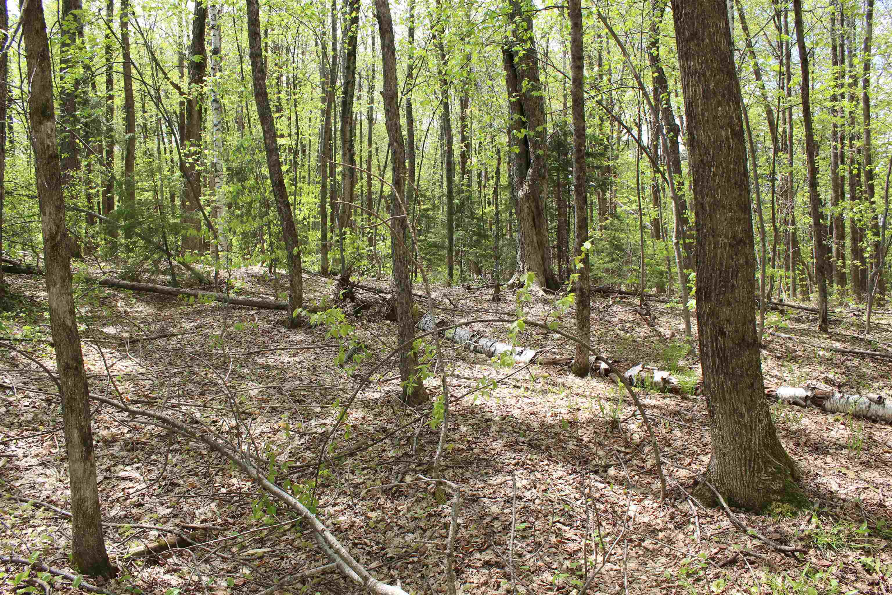 00 Long Hill Road Property Photo 27