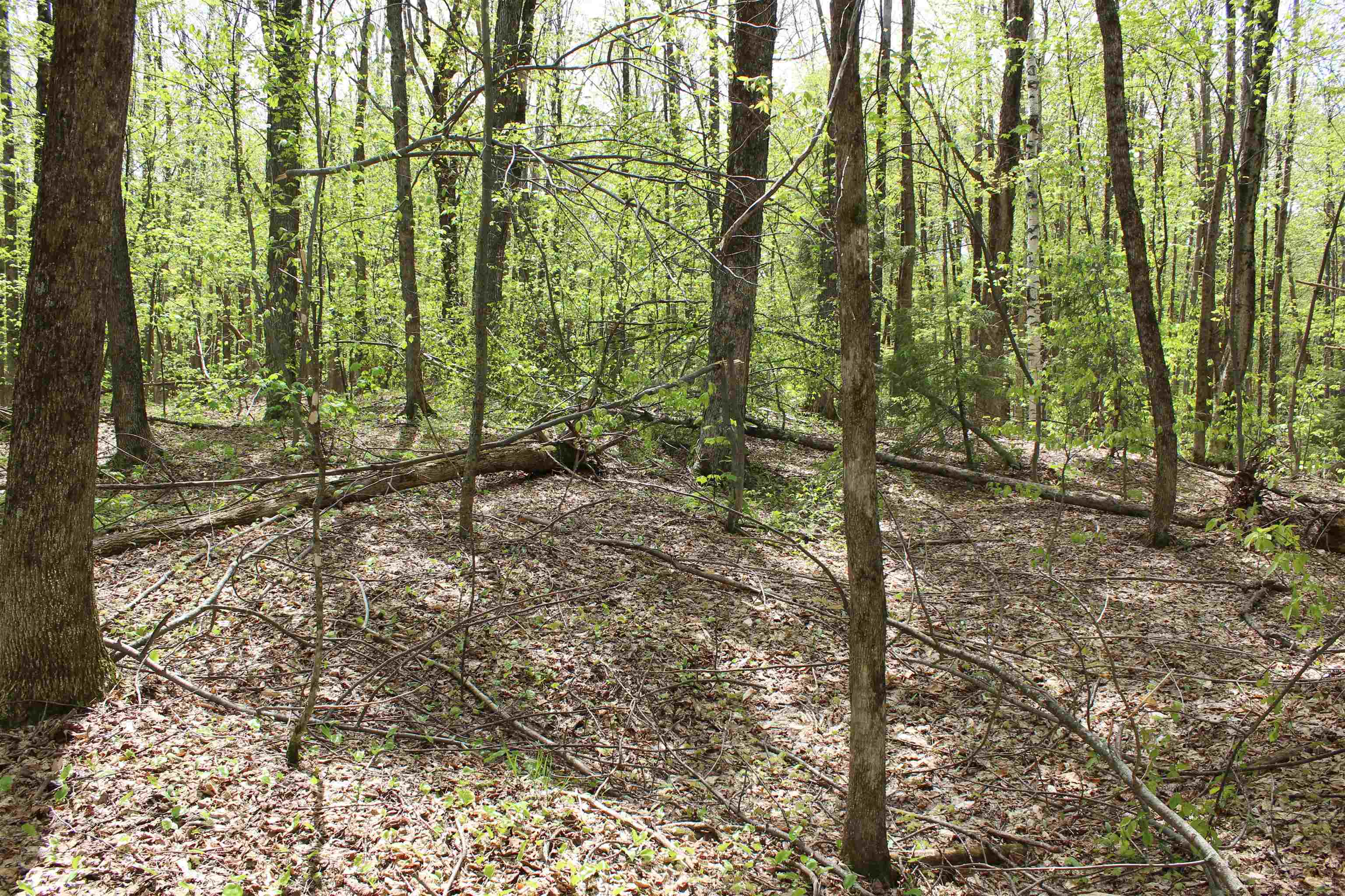 00 Long Hill Road Property Photo 34