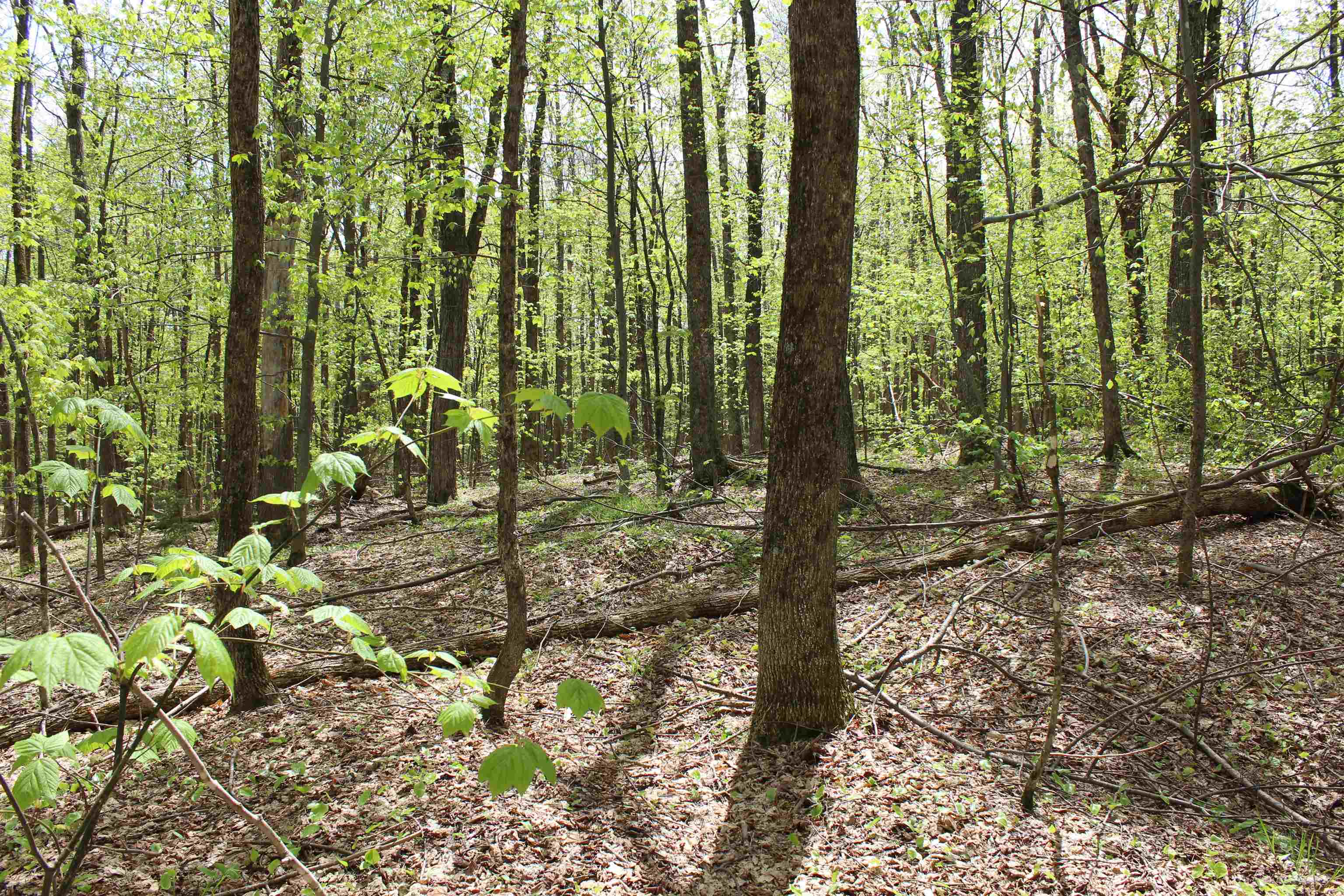 00 Long Hill Road Property Photo 35