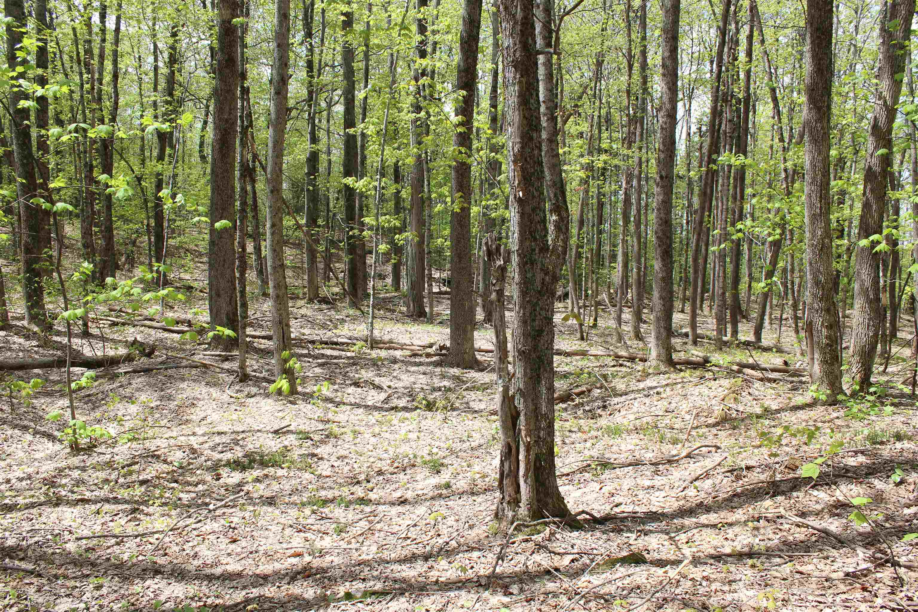 00 Long Hill Road Property Photo 39