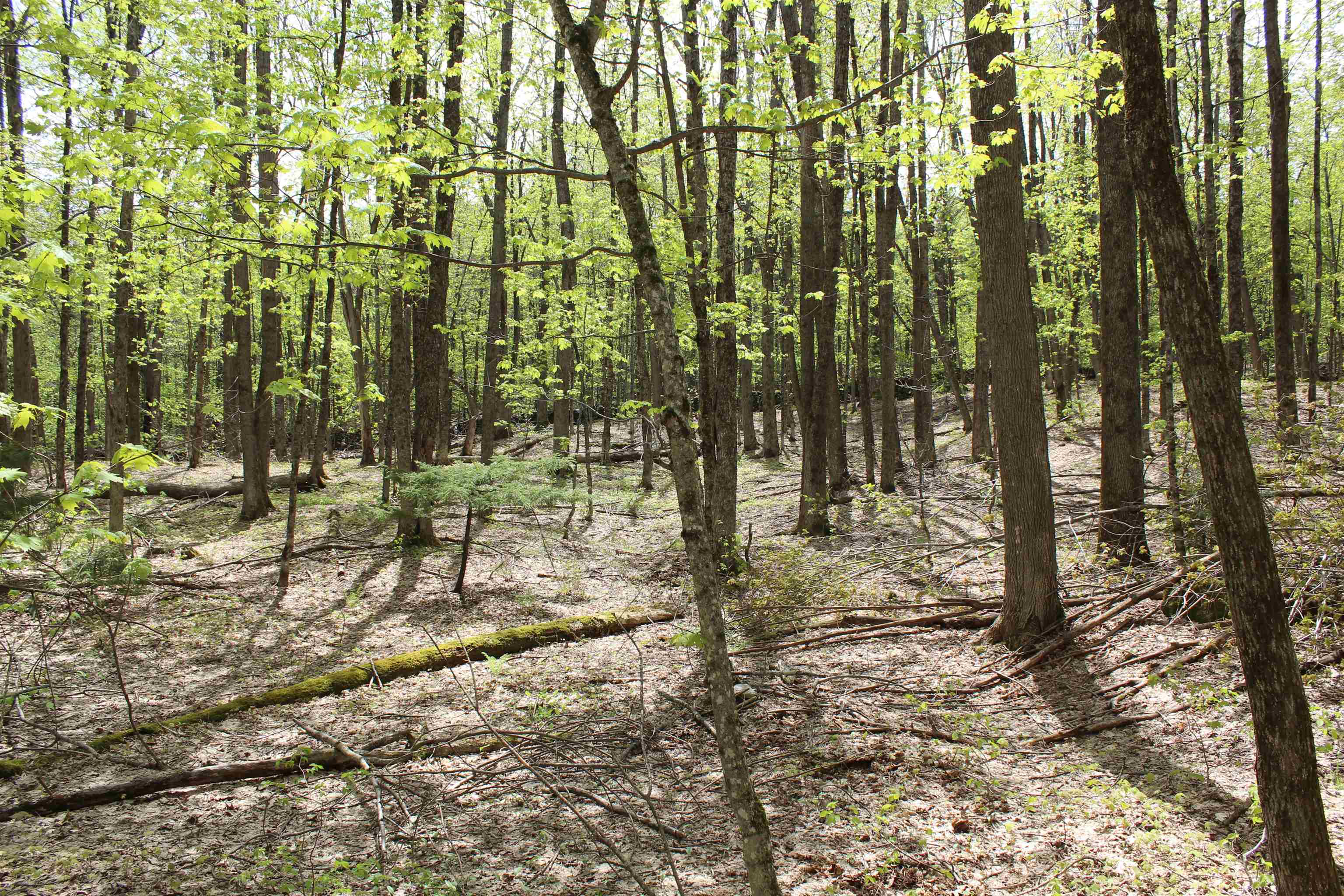 00 Long Hill Road Property Photo 42