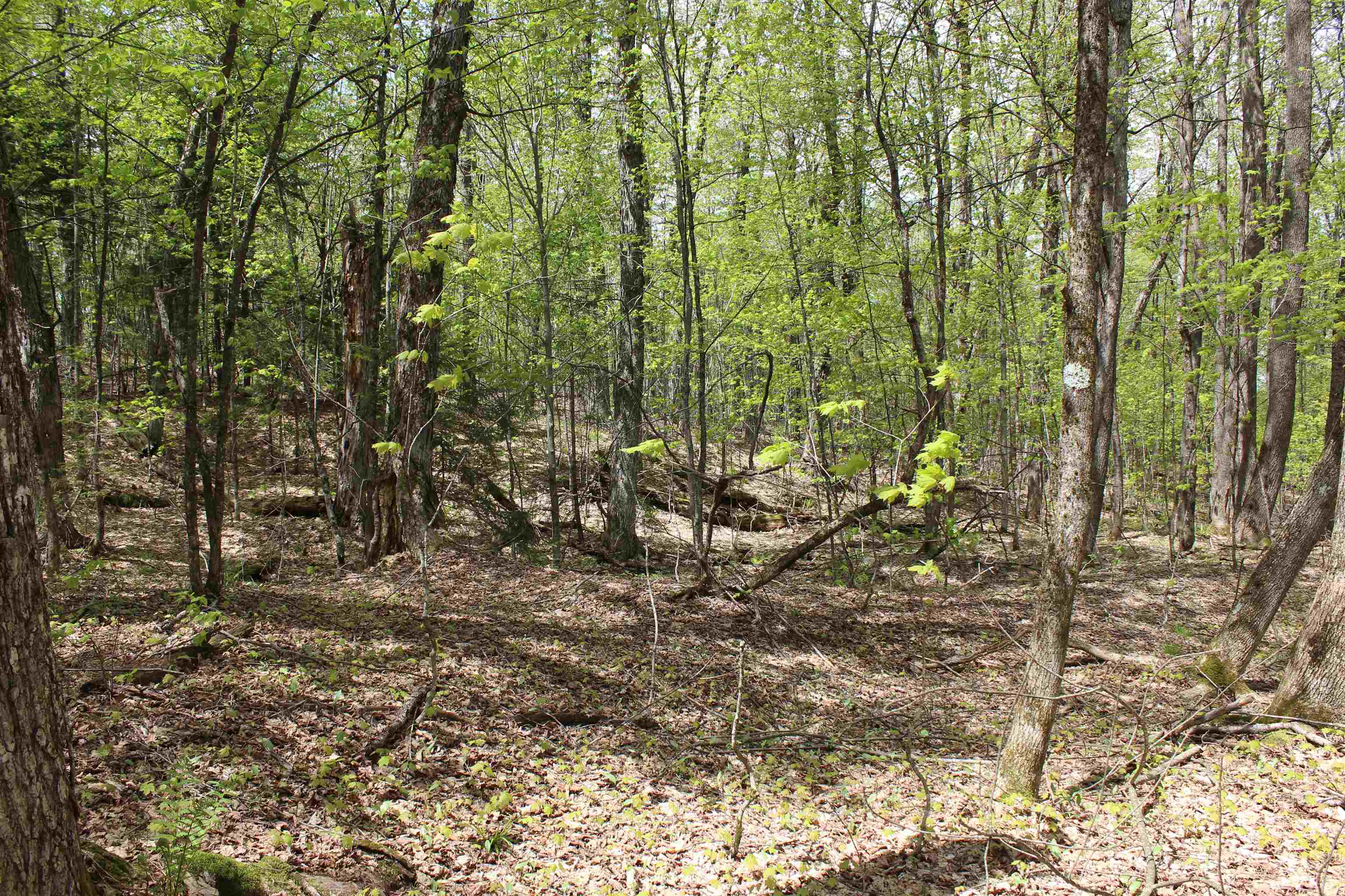 00 Long Hill Road Property Photo 52