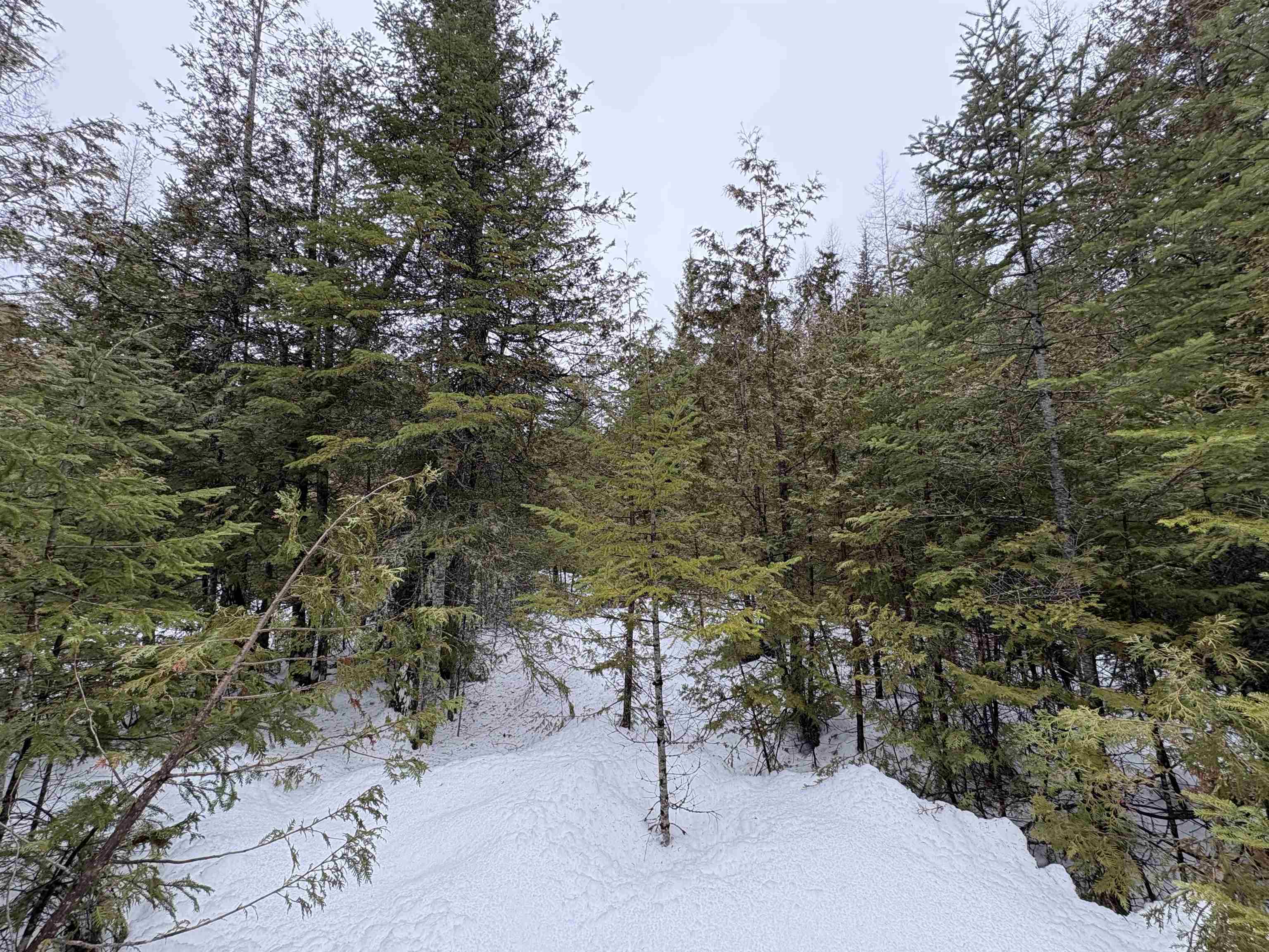 1974 The Bend Road Property Photo 3