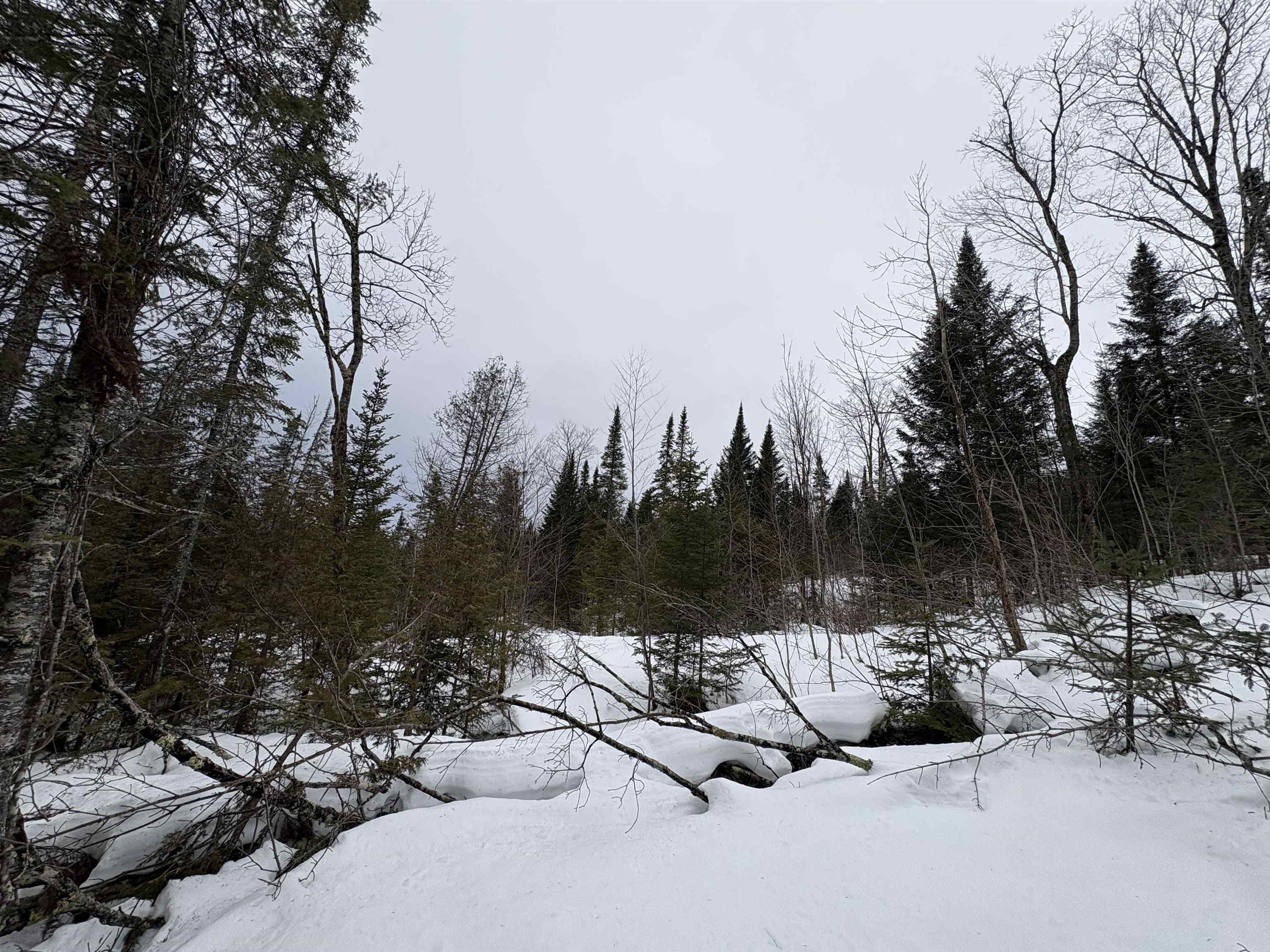 1974 The Bend Road Property Photo 6