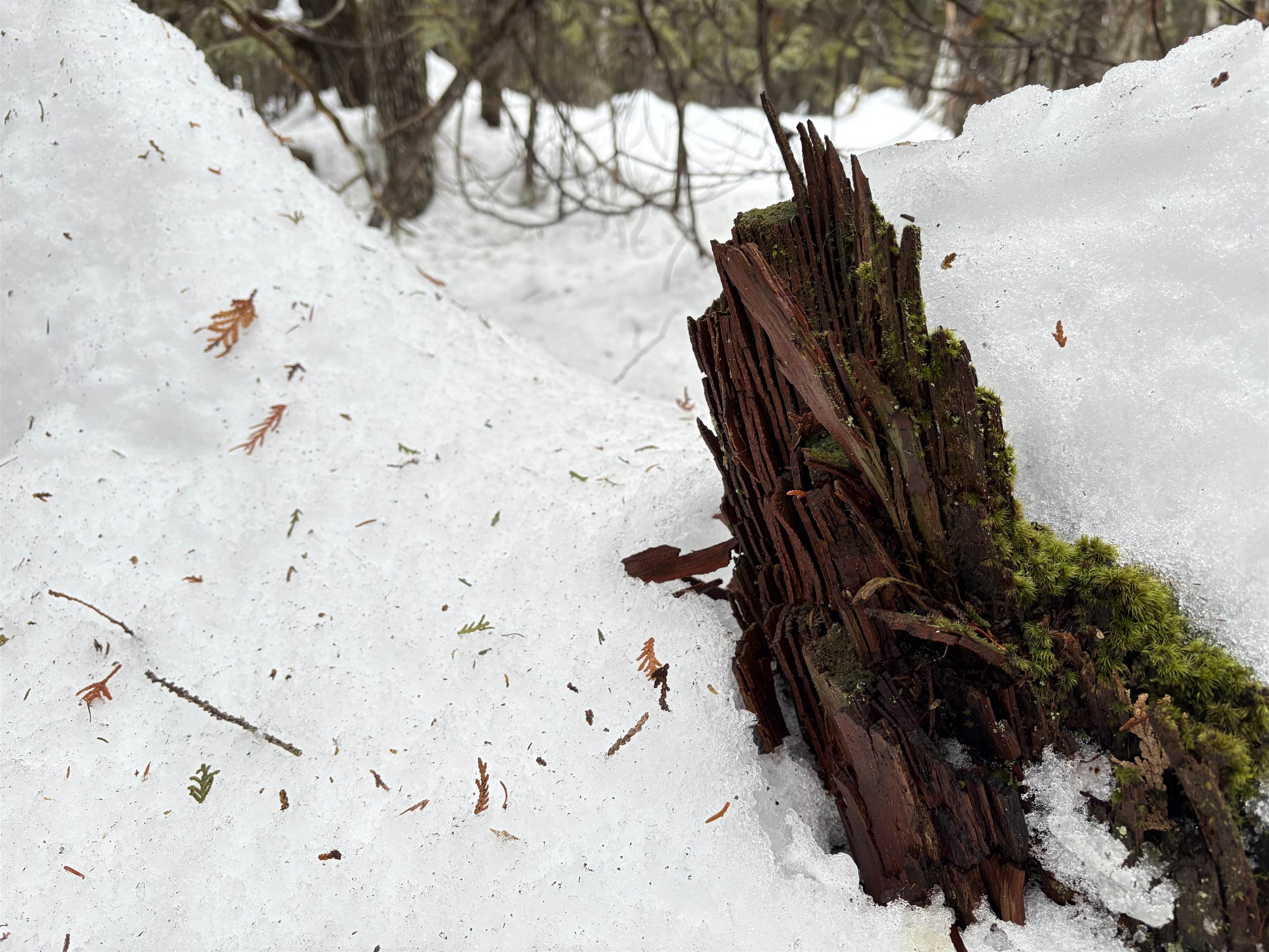 1974 The Bend Road Property Photo 7