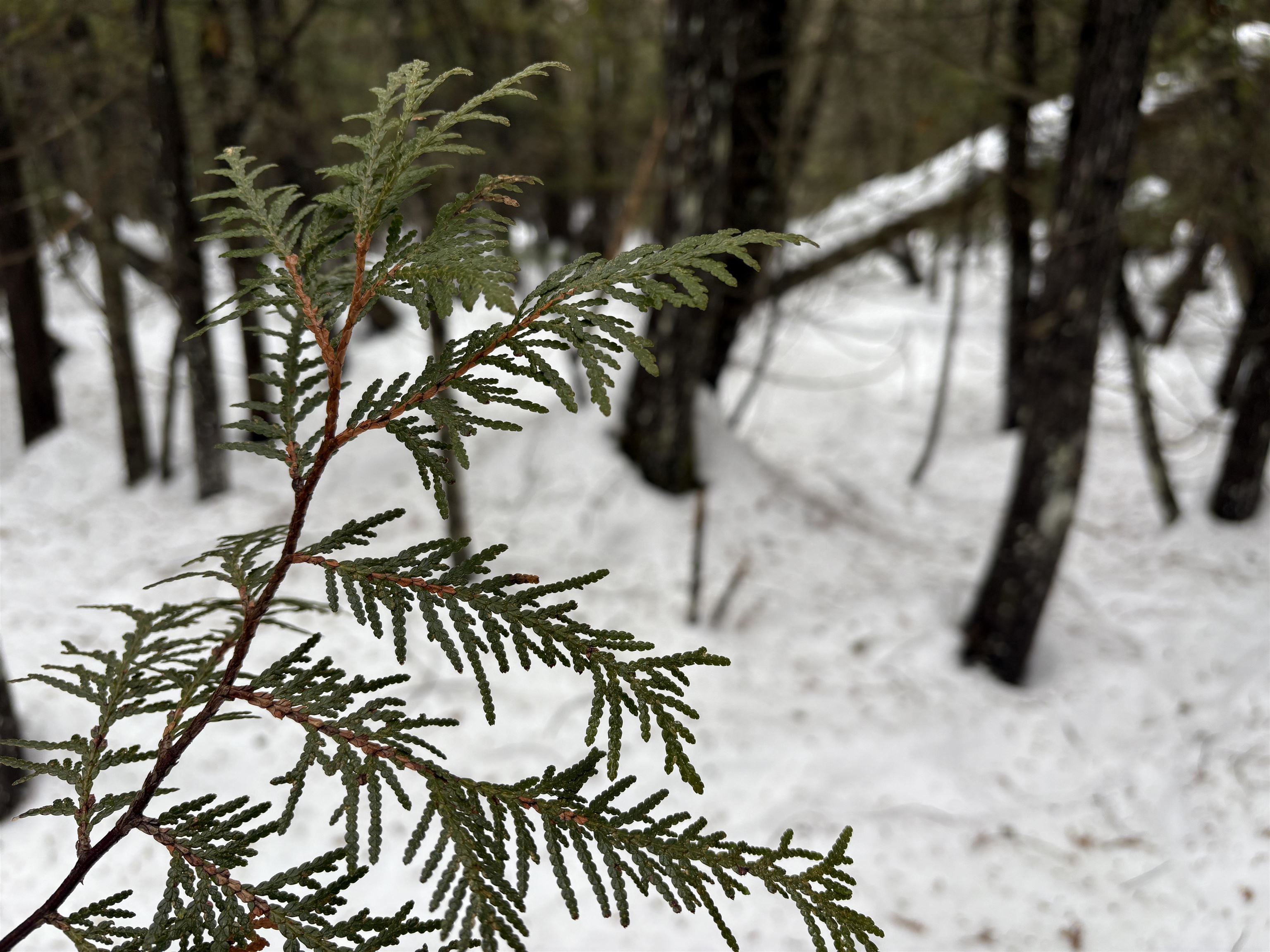 1974 The Bend Road Property Photo 8