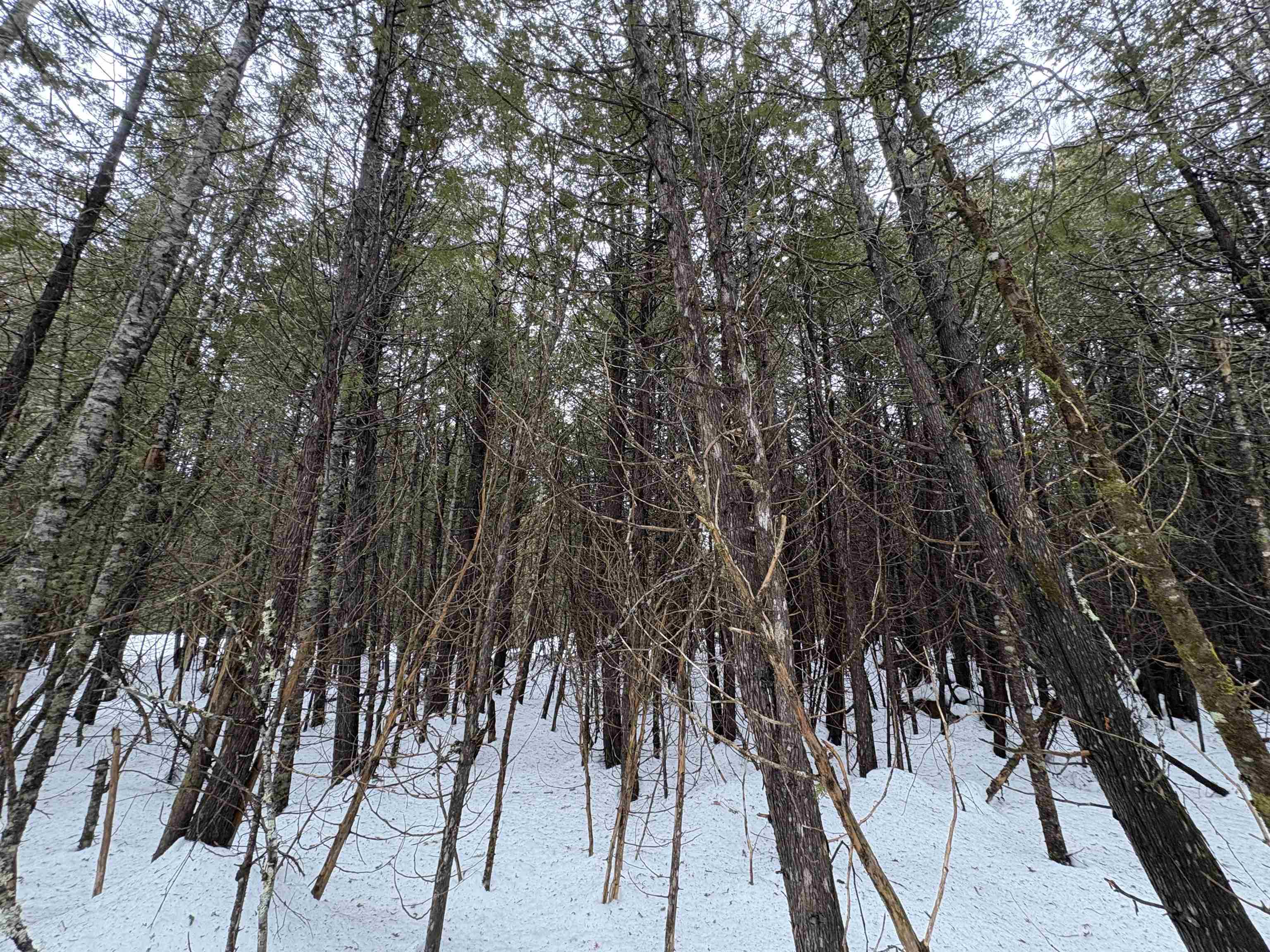 1974 The Bend Road Property Photo 9