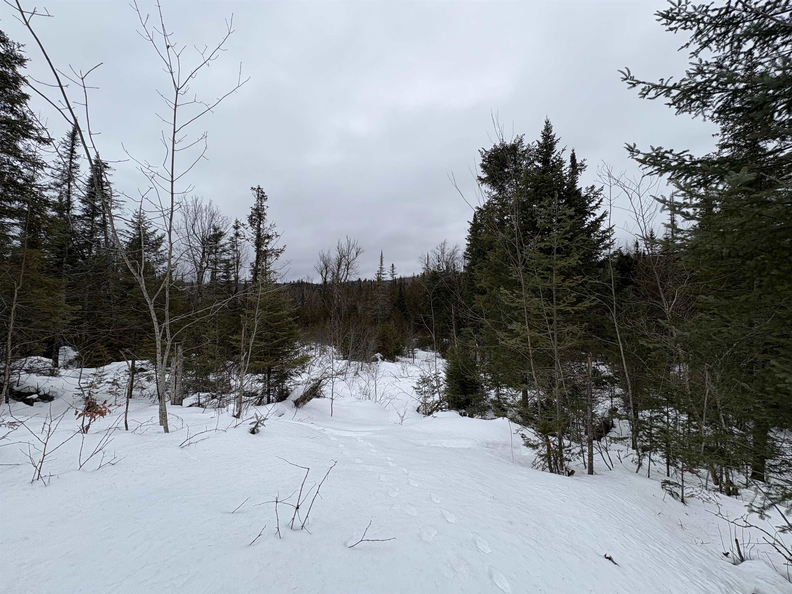 1974 The Bend Road Property Photo 10