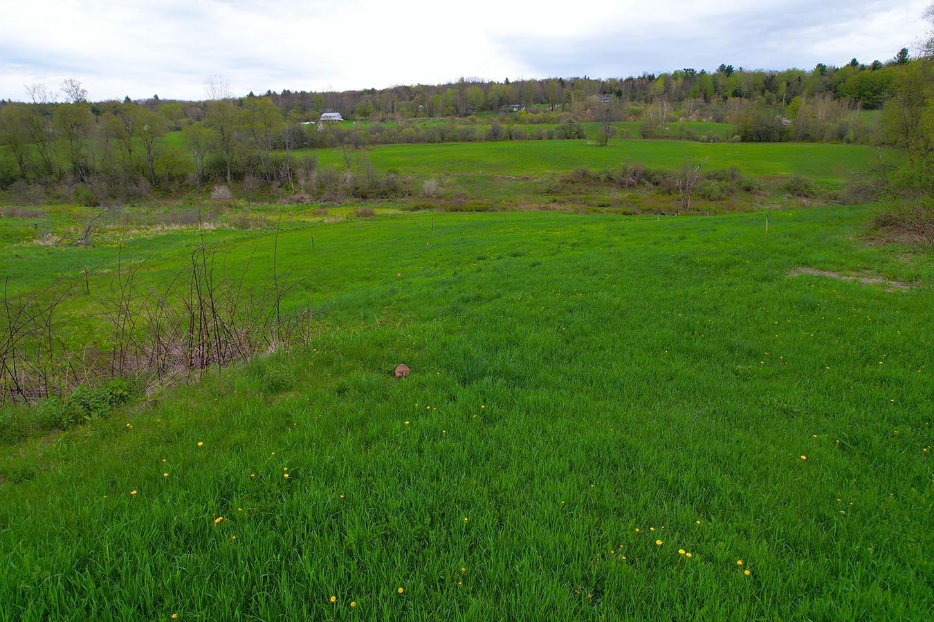 Lot 12 Paradis Lane Property Photo
