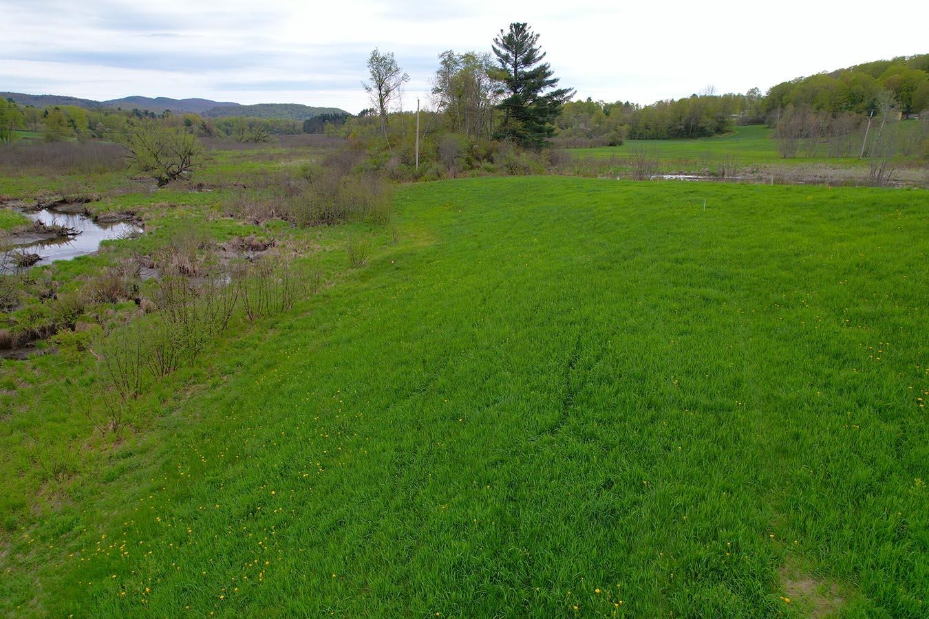 Lot 13 Paradis Lane Property Photo
