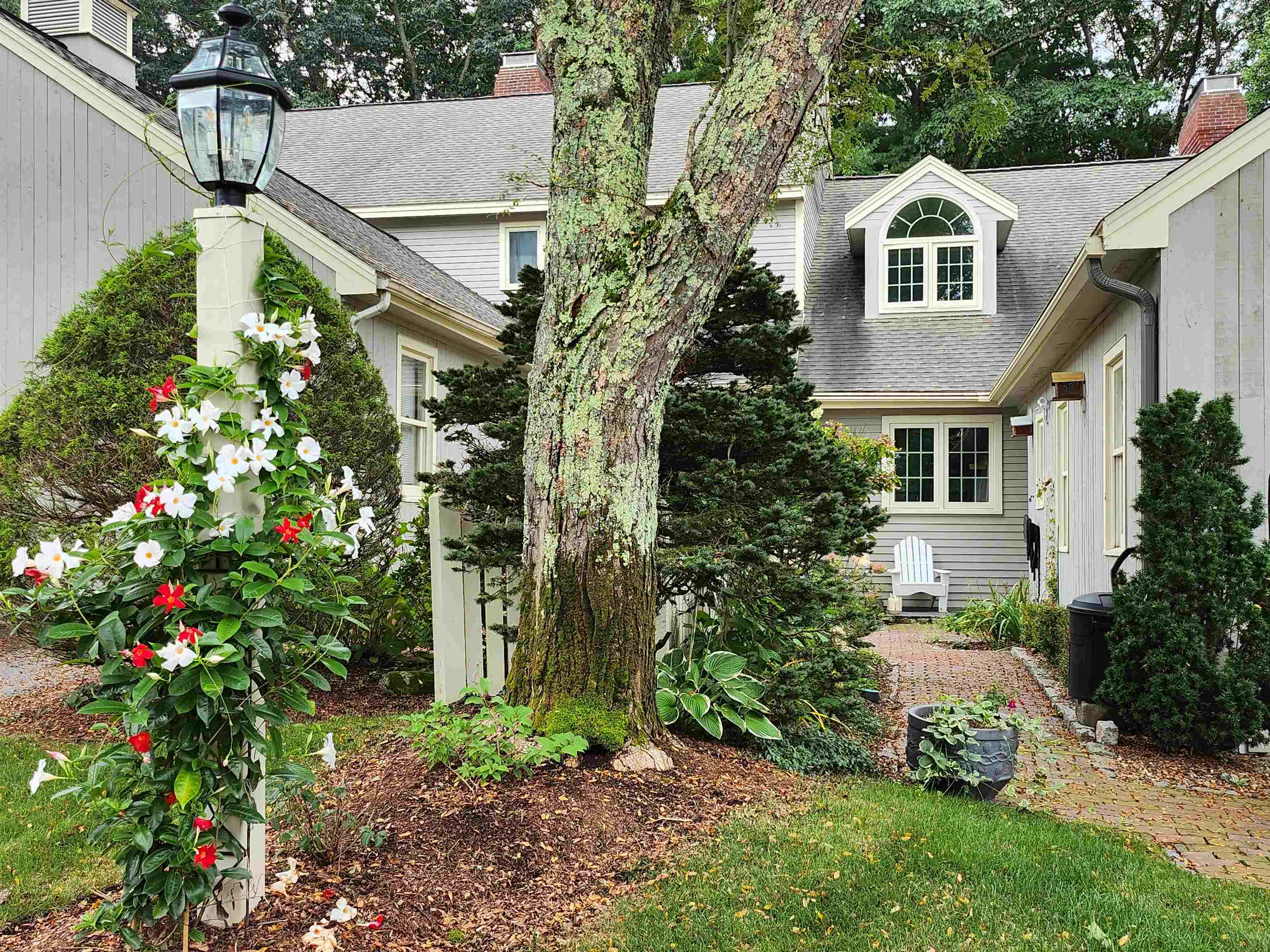 7 Wynridge Road Property Photo