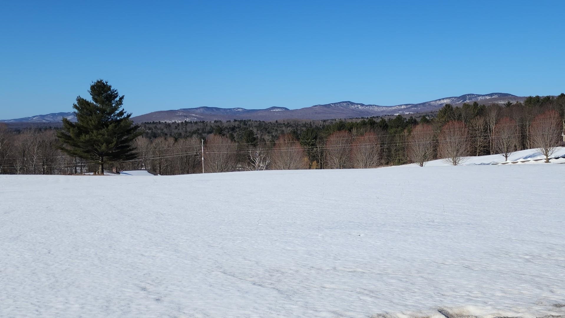 Village Overlook Drive Property Photo 5