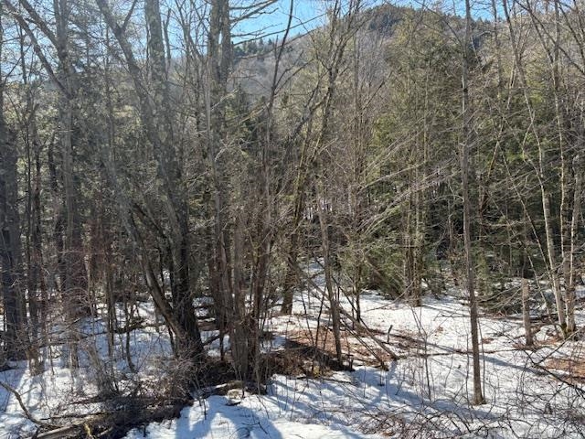 0 Route 107 Property Photo
