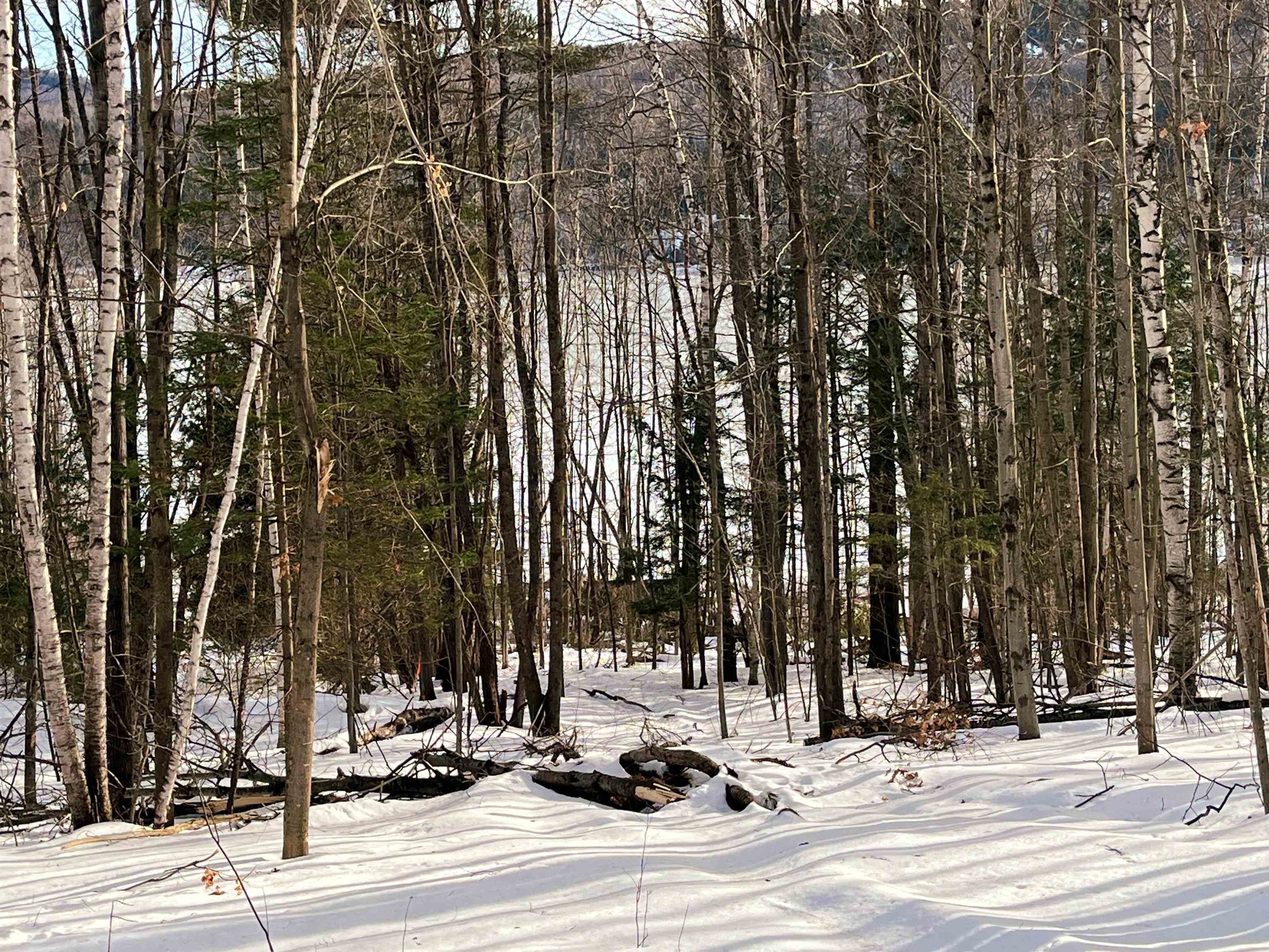Orleans County Real Estate Listings Main Image