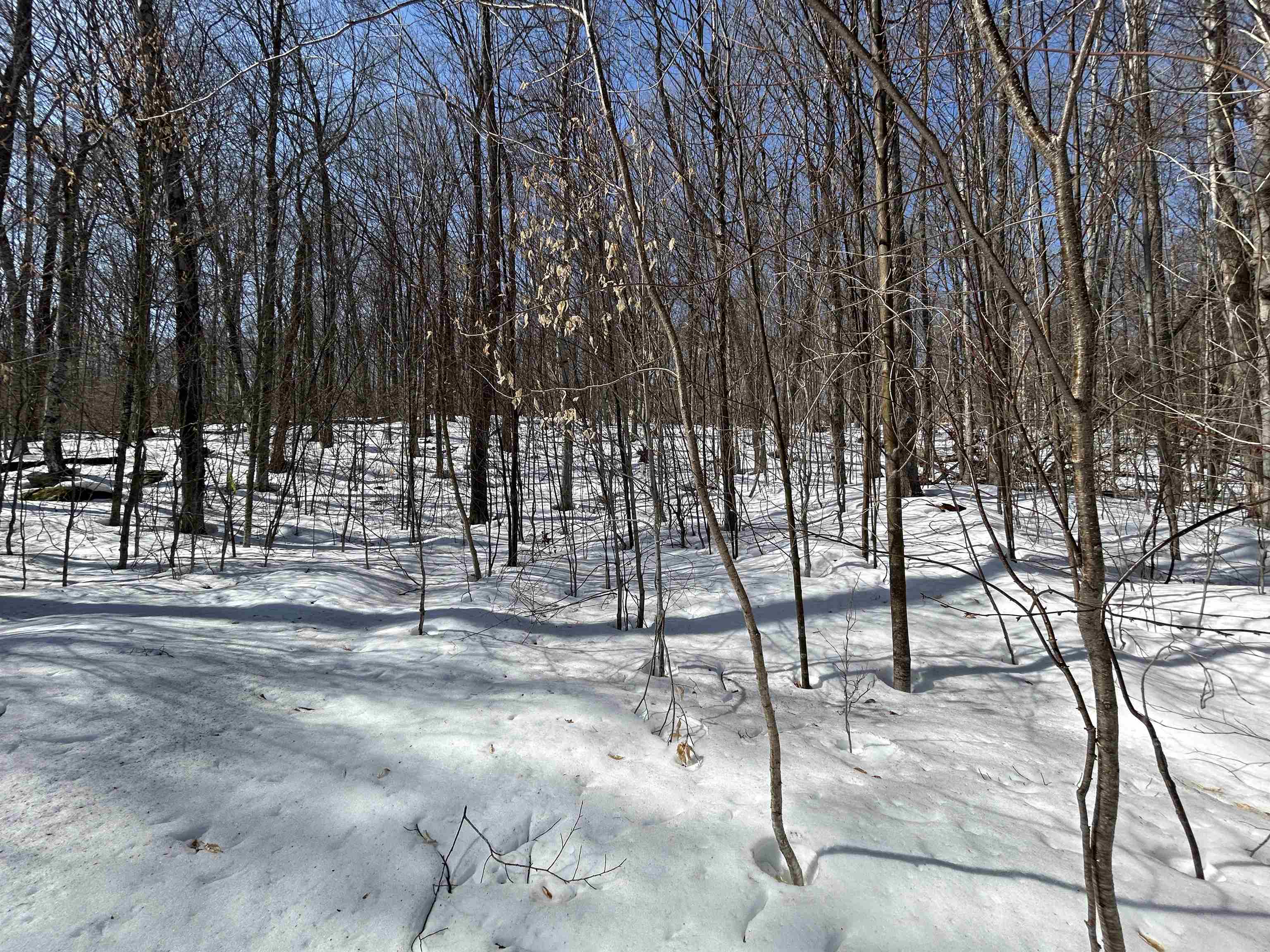 00 Margeaux Lane Property Photo