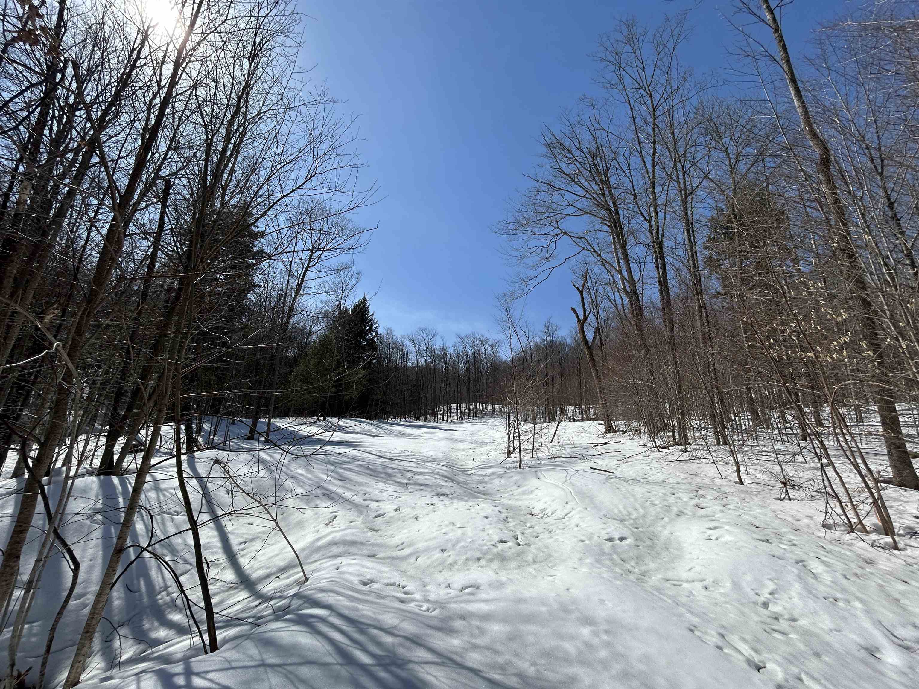 Lot #4 Margeaux Lane Property Photo