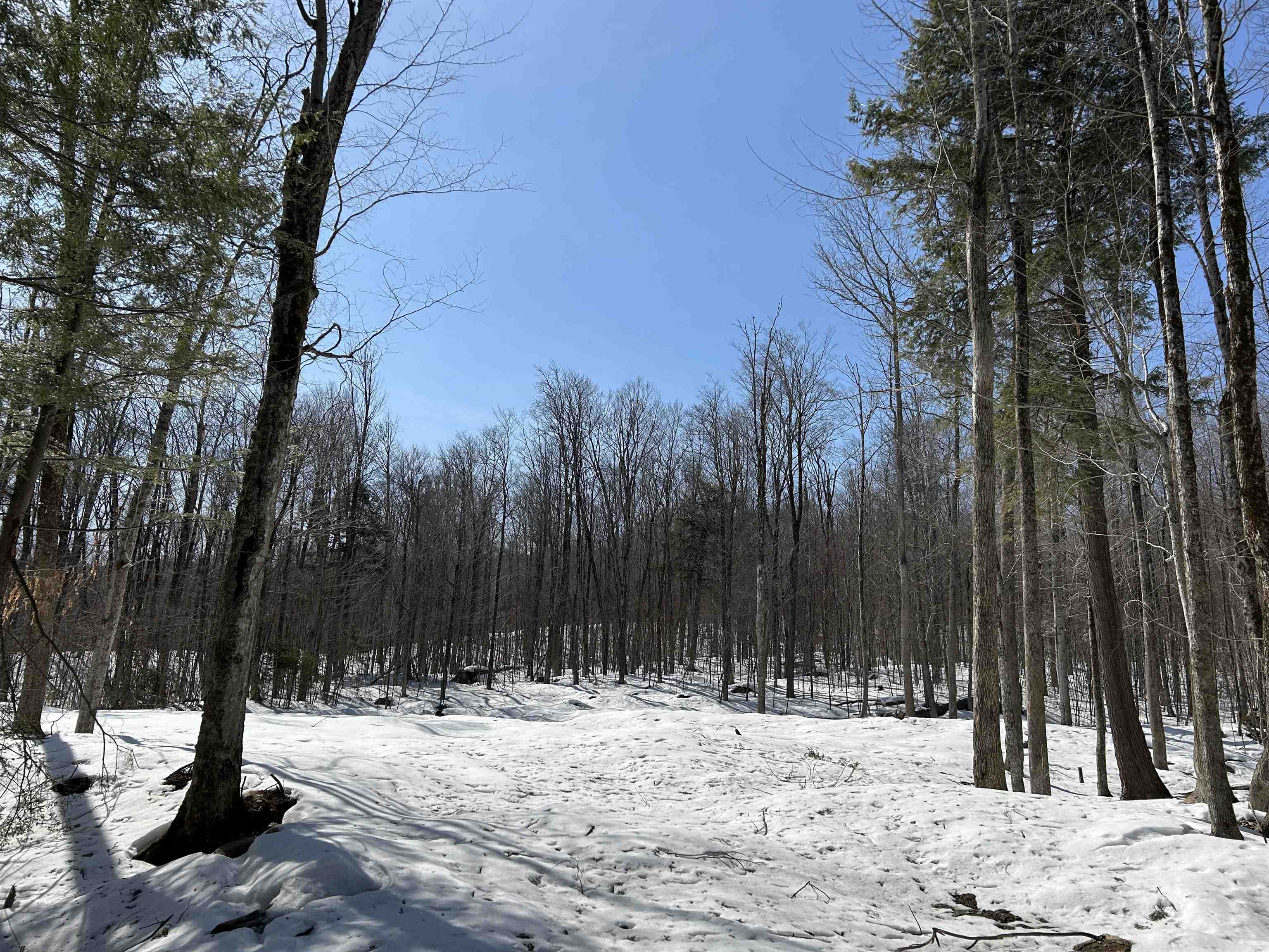 Lot#2 Margeaux Lane Property Photo 4