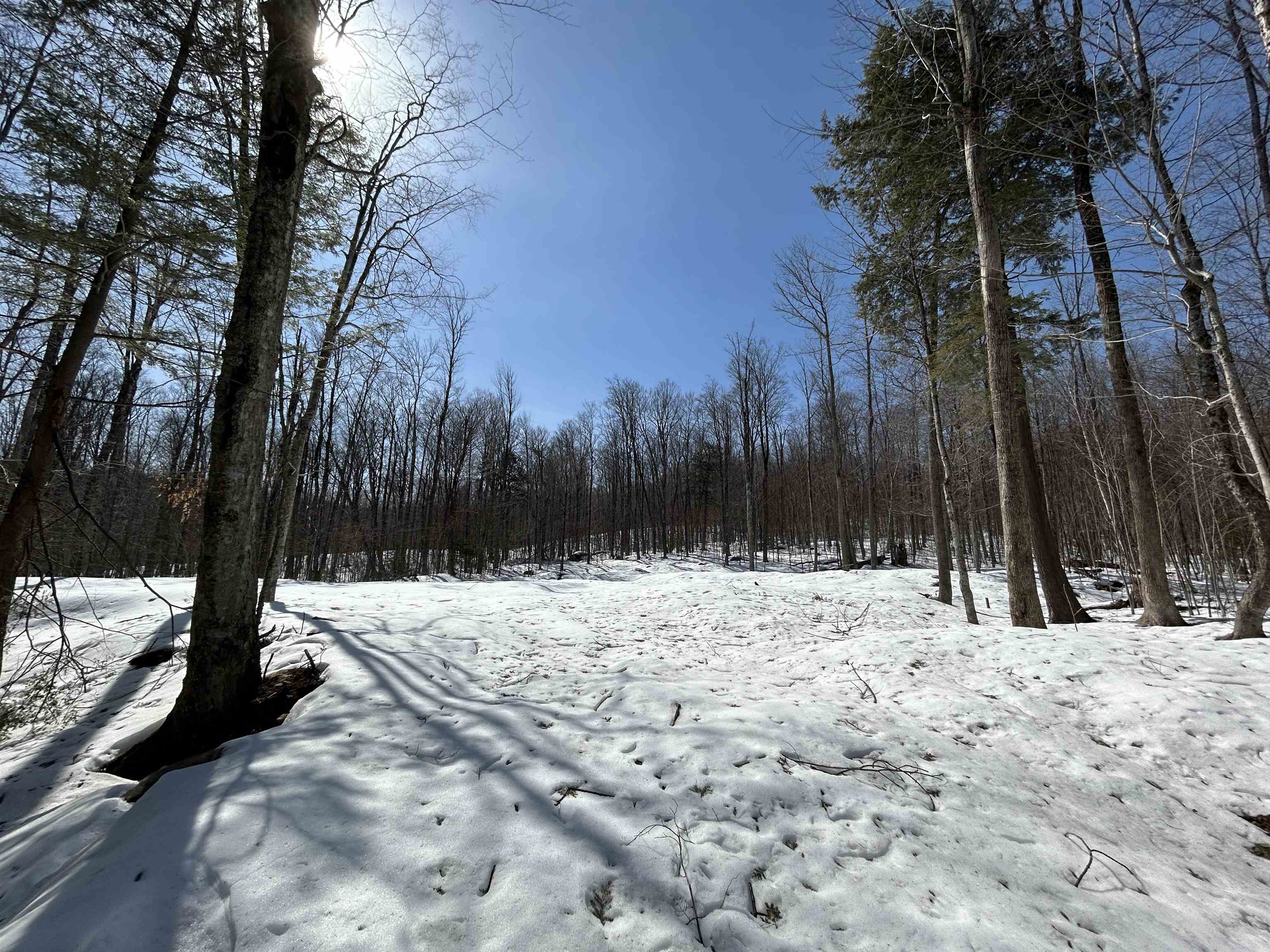 Lot#2 Margeaux Lane Property Photo 5