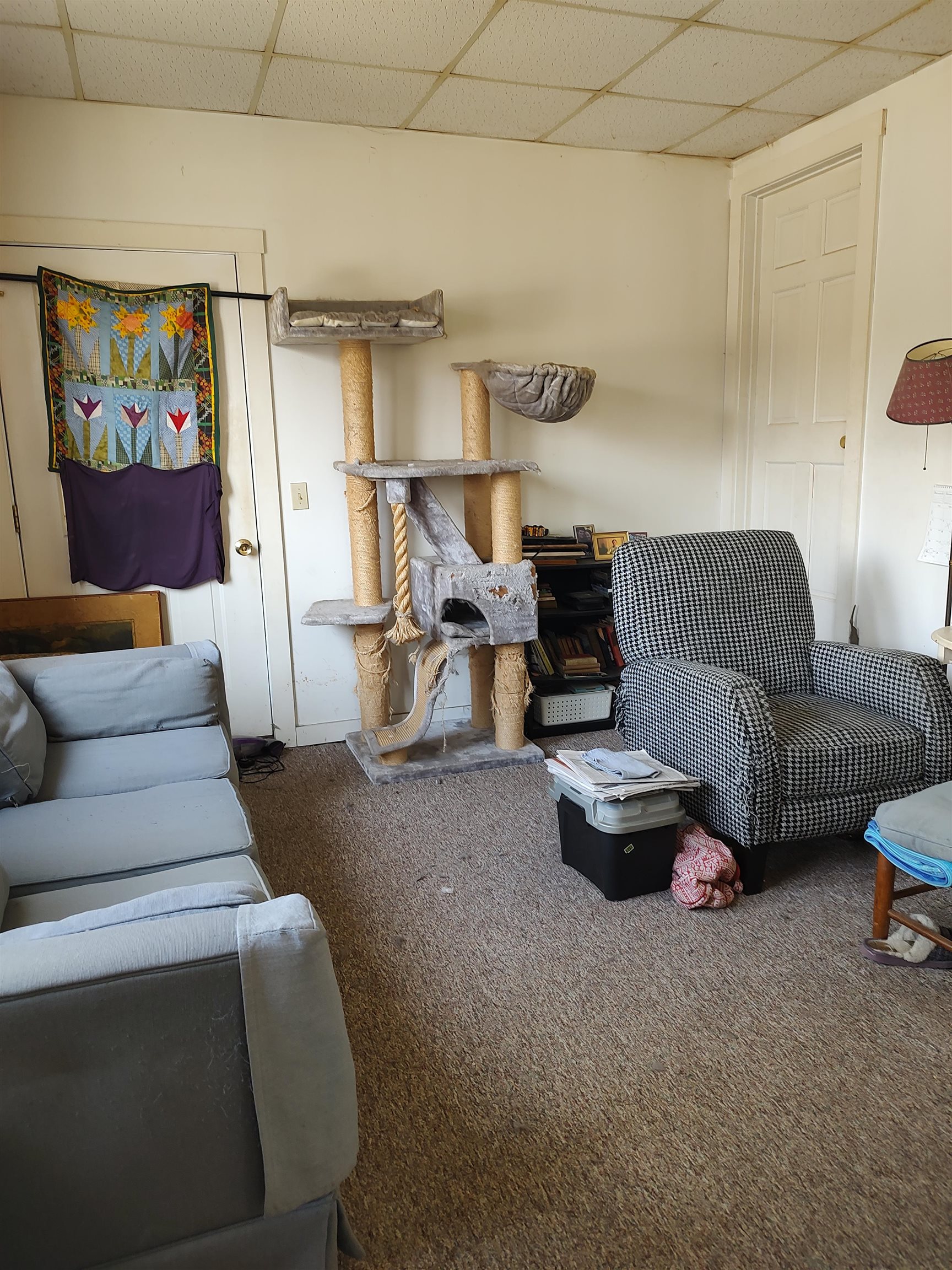 6 Park Street Property Photo 4