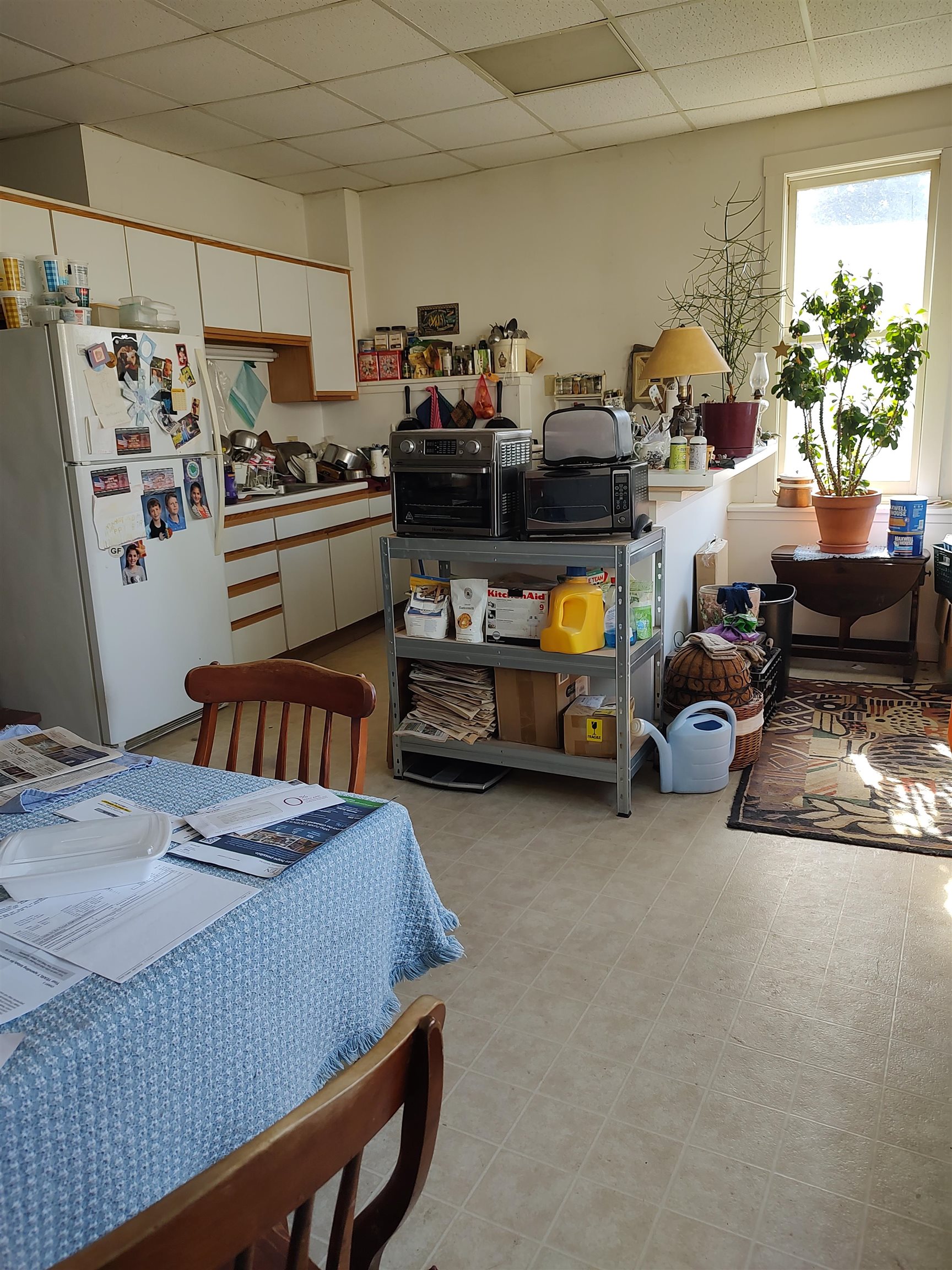 6 Park Street Property Photo 20