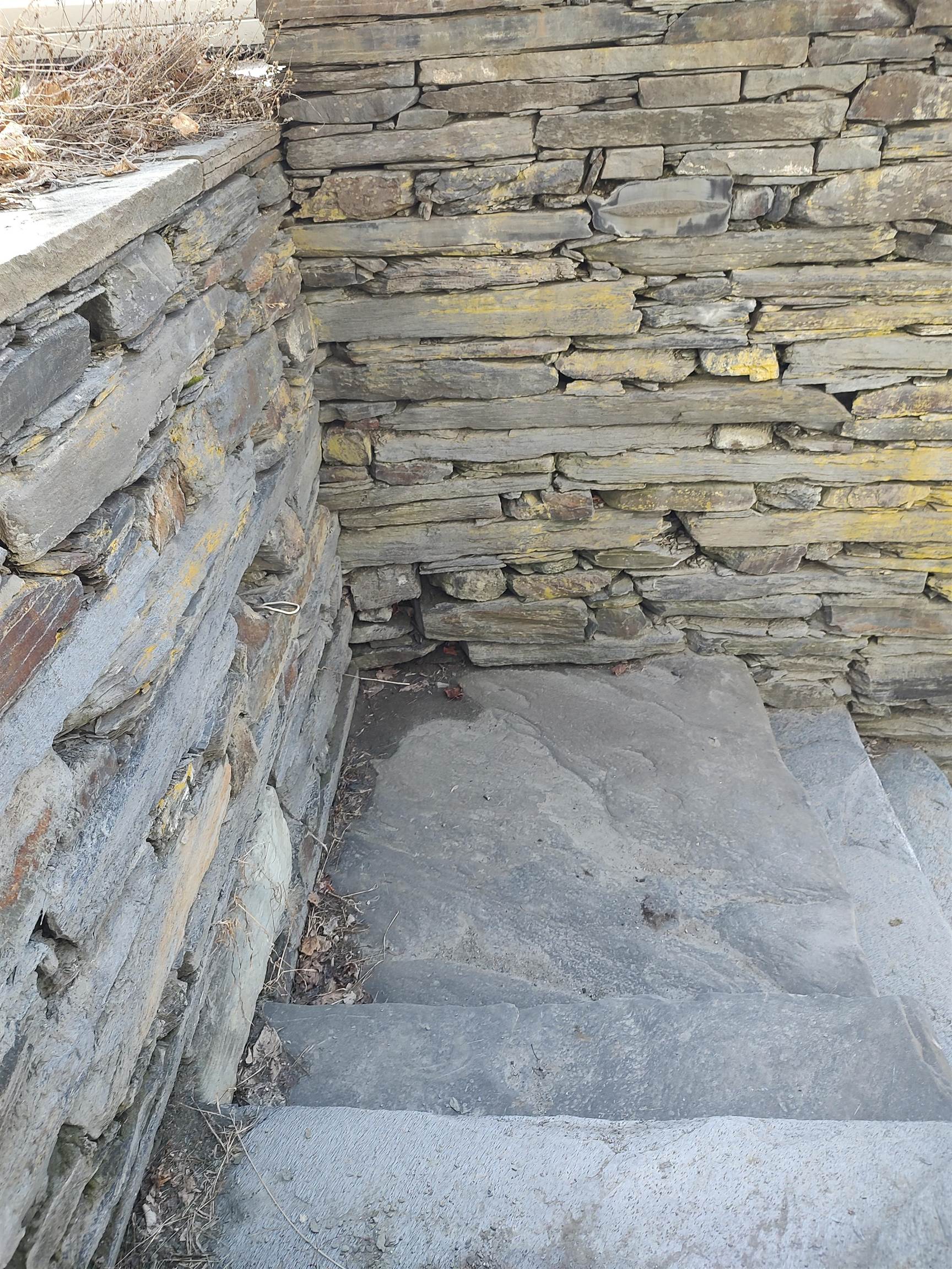 6 Park Street Property Photo 22