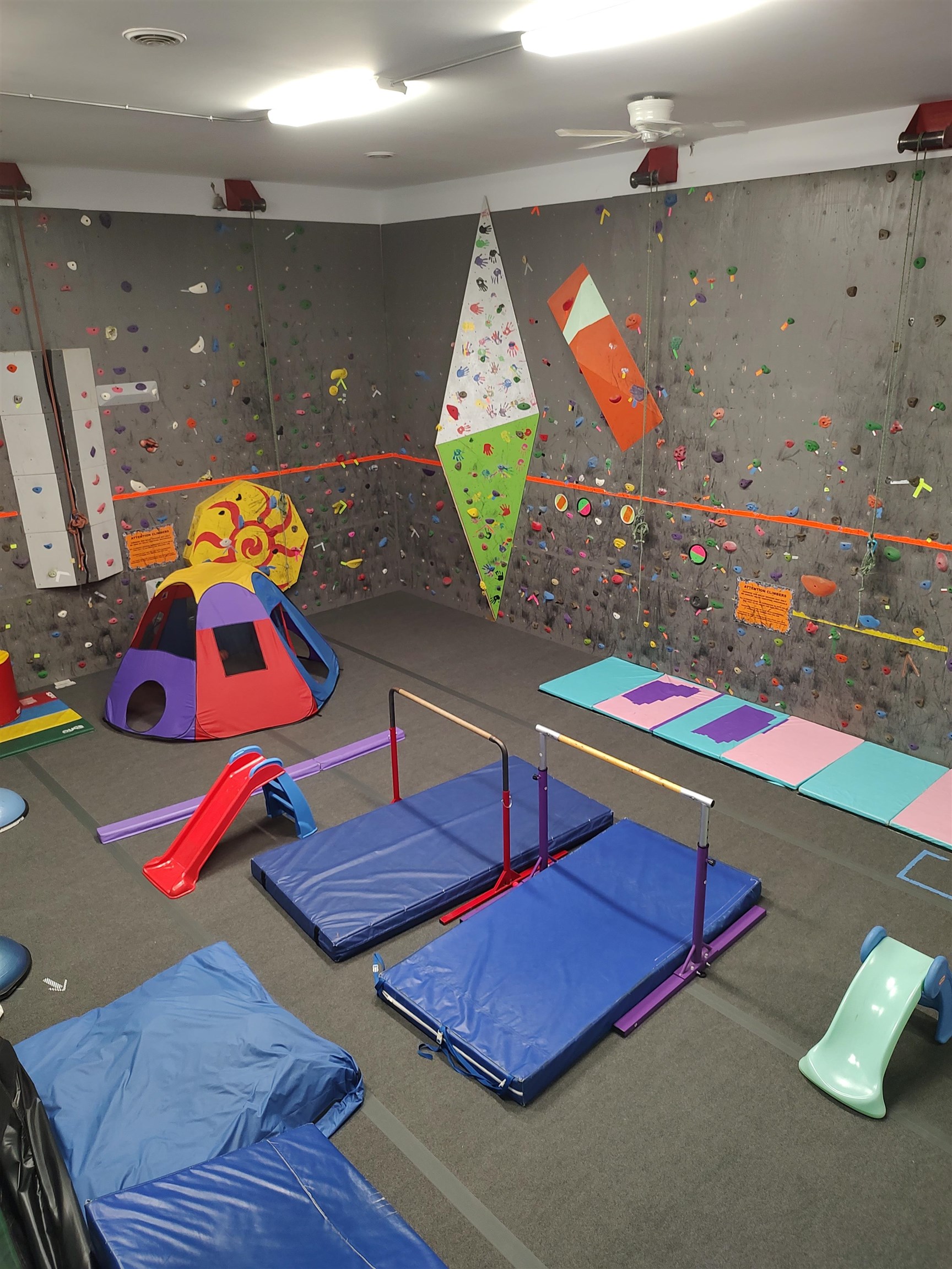 6 Park Street Property Photo 41